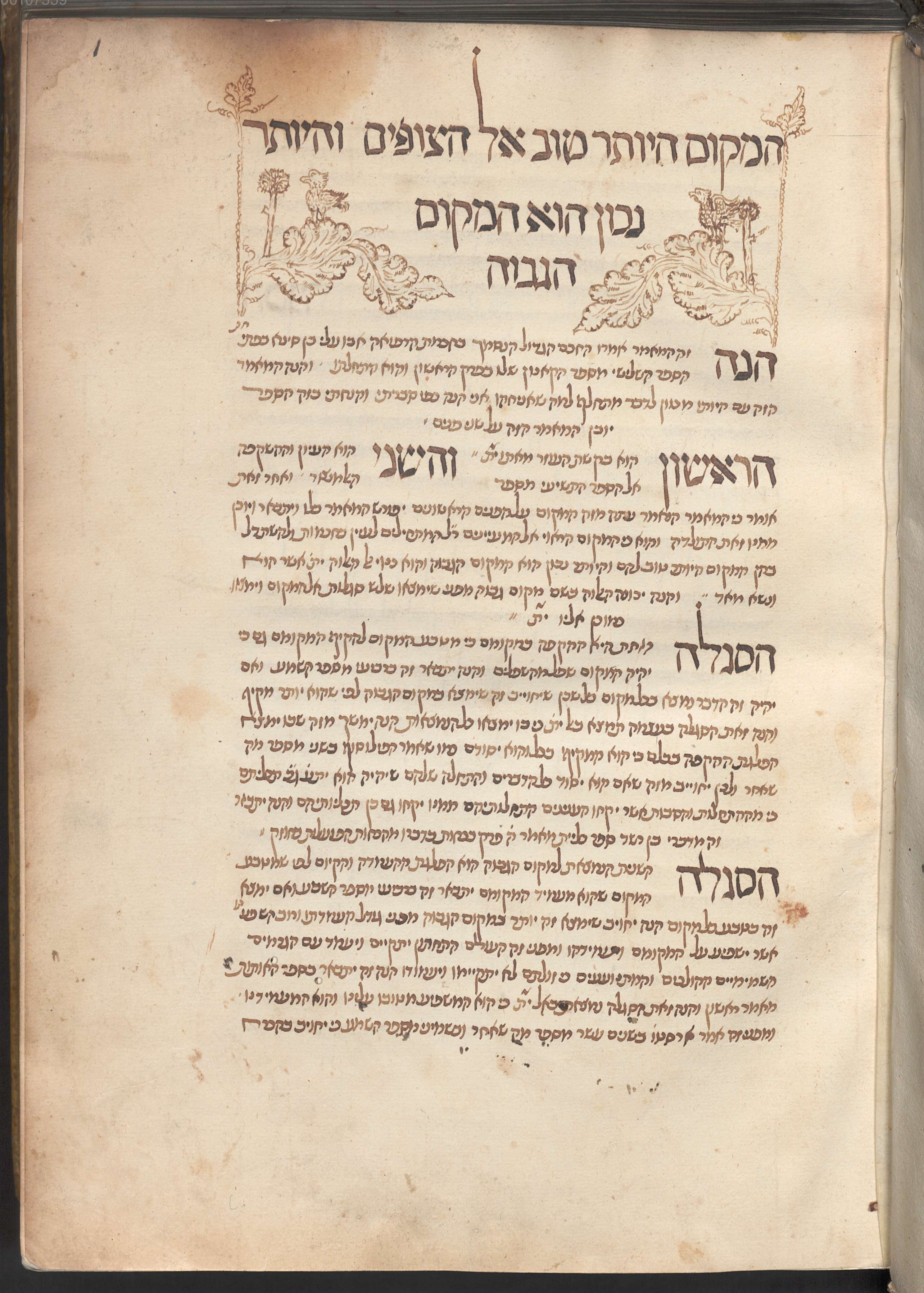 Image of item, e.g. a manuscript page