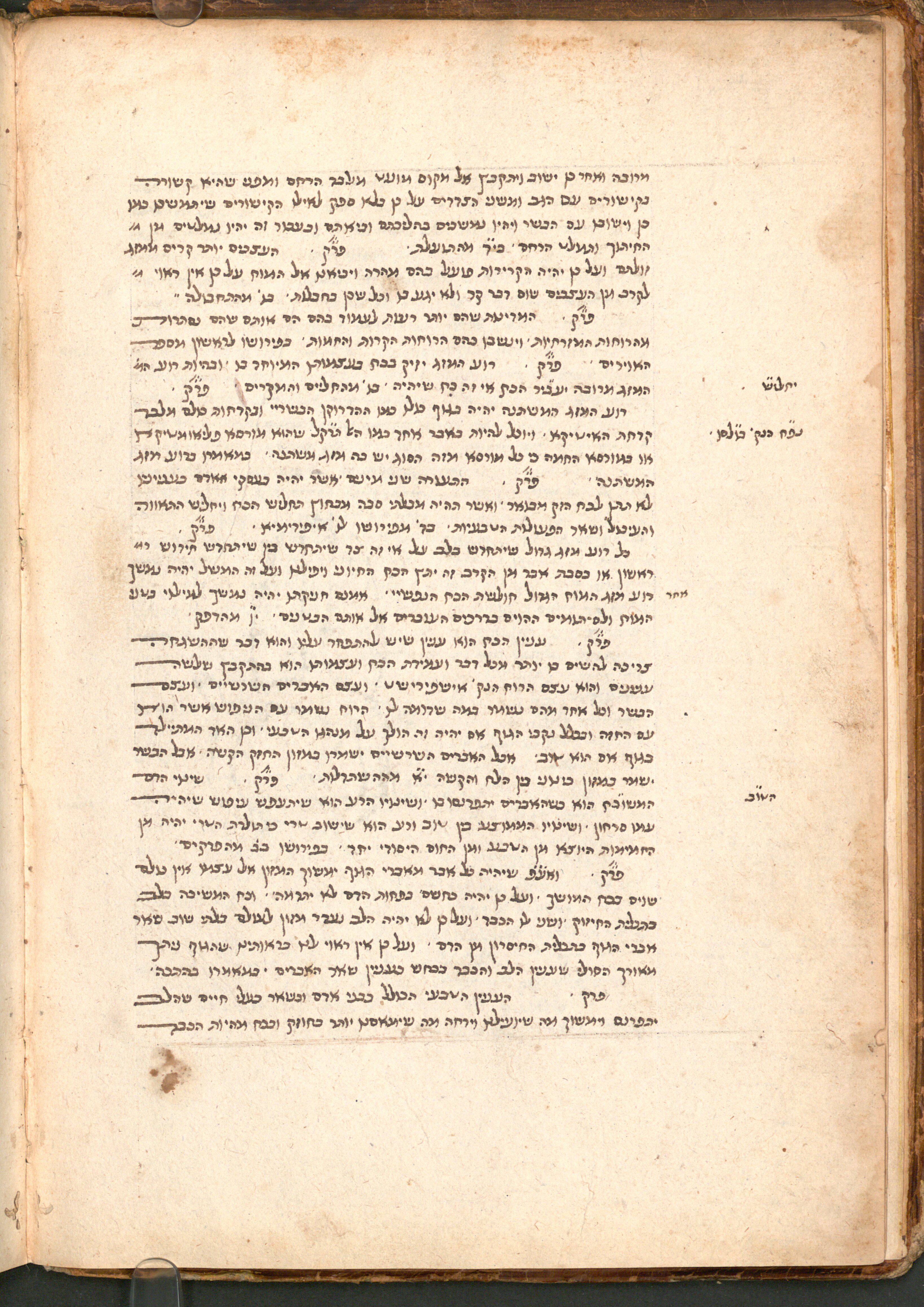 Image of item, e.g. a manuscript page
