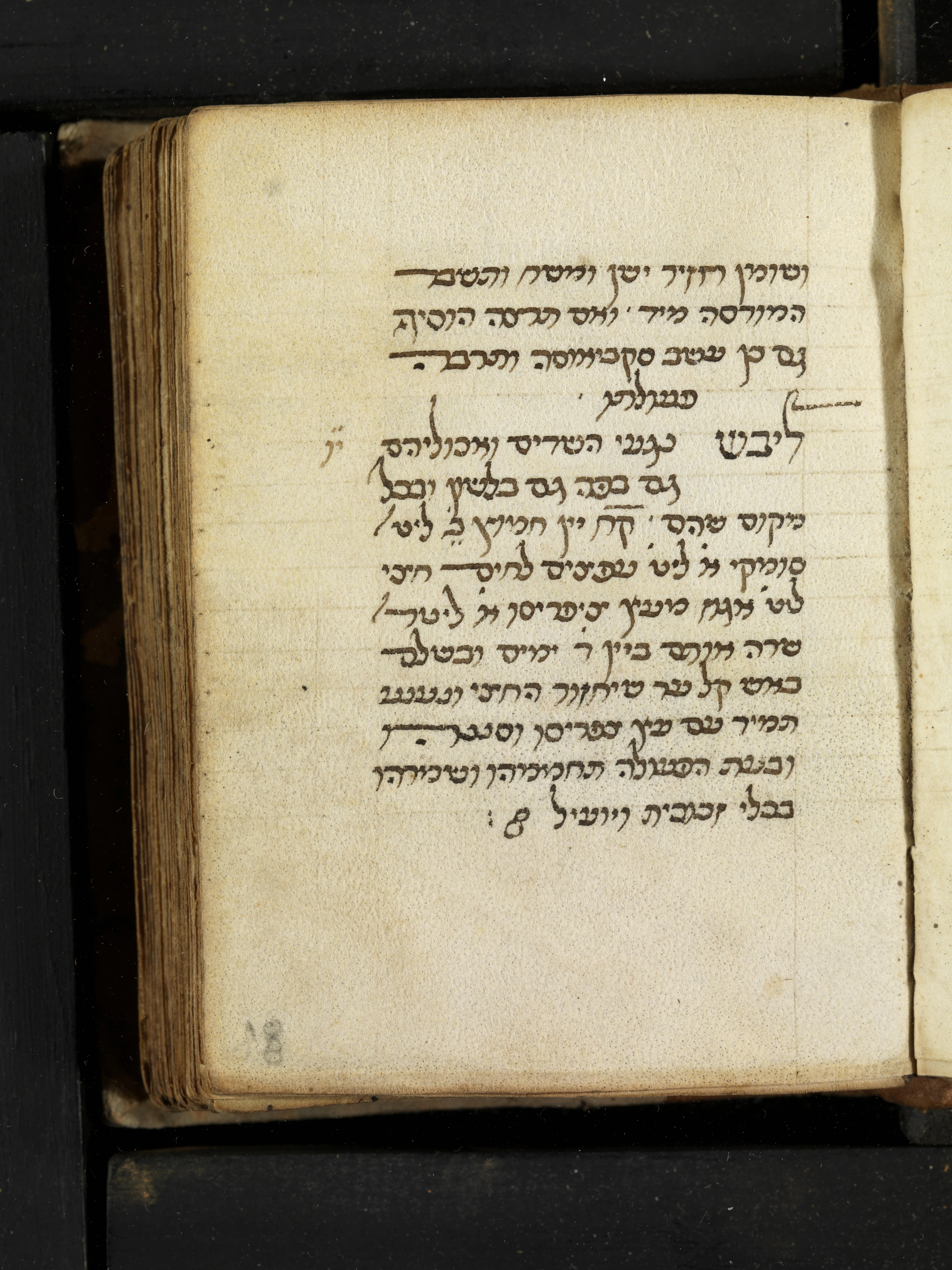 Image of item, e.g. a manuscript page