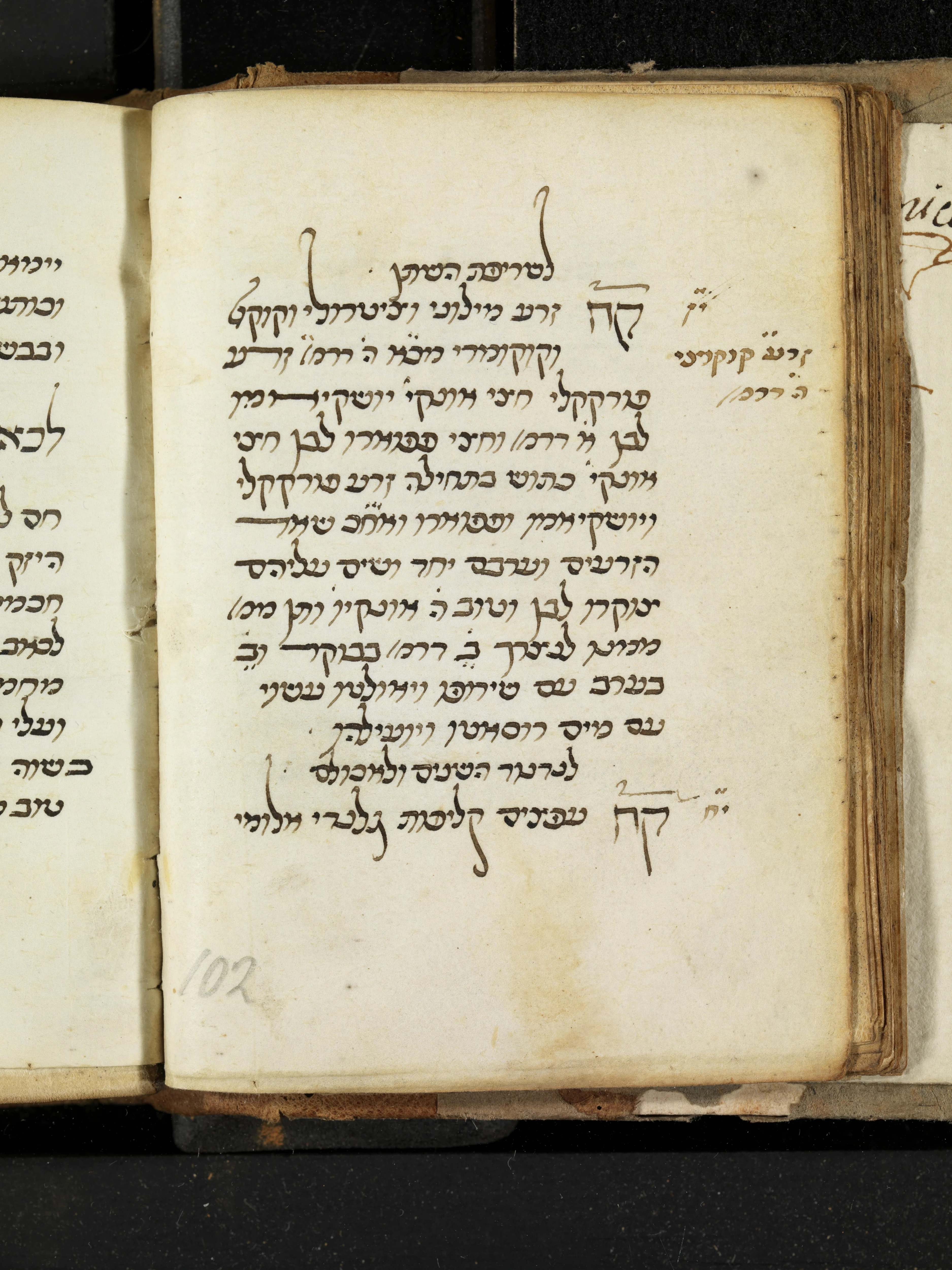 Image of item, e.g. a manuscript page