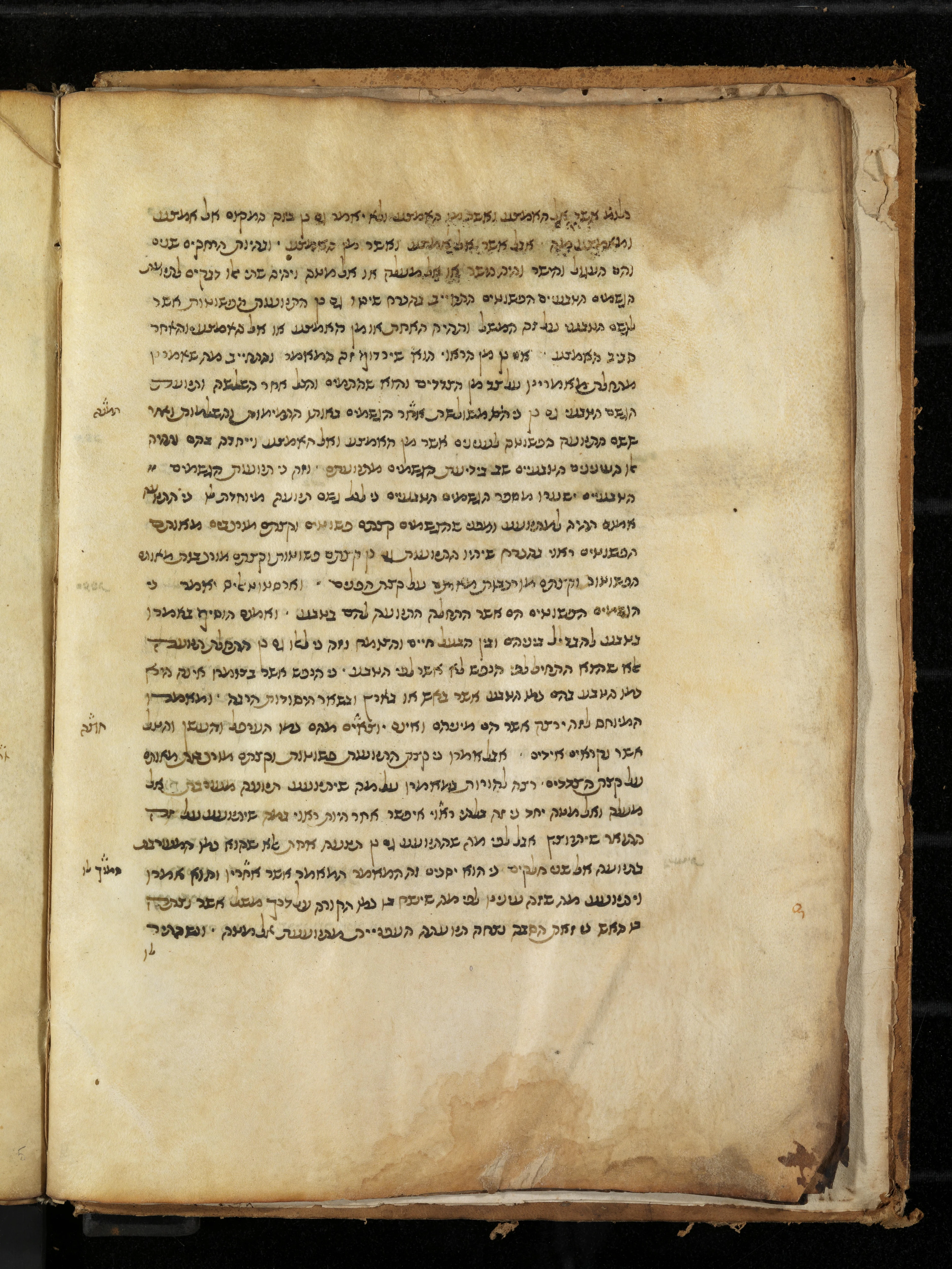 Image of item, e.g. a manuscript page