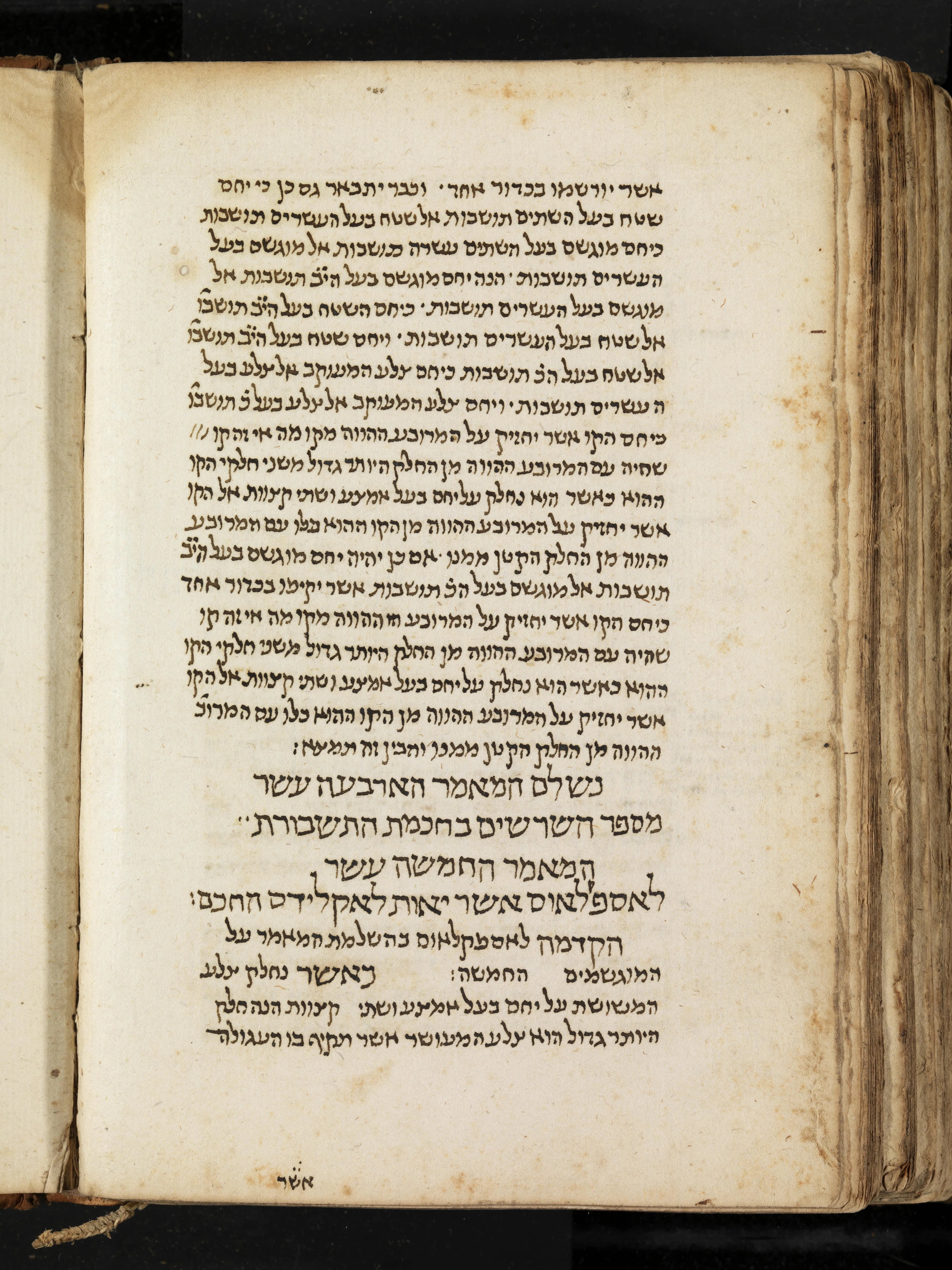 Image of item, e.g. a manuscript page
