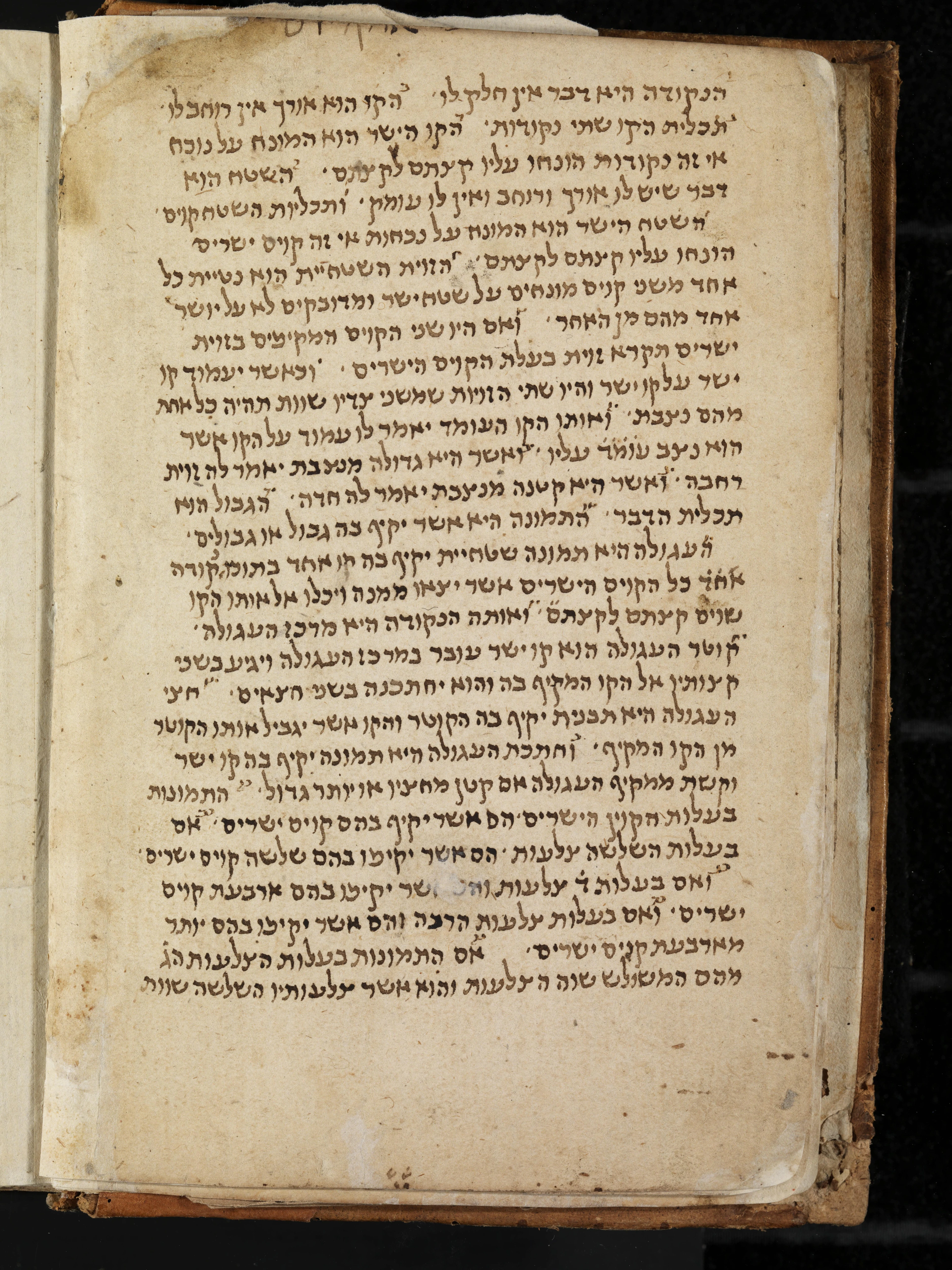 Image of item, e.g. a manuscript page