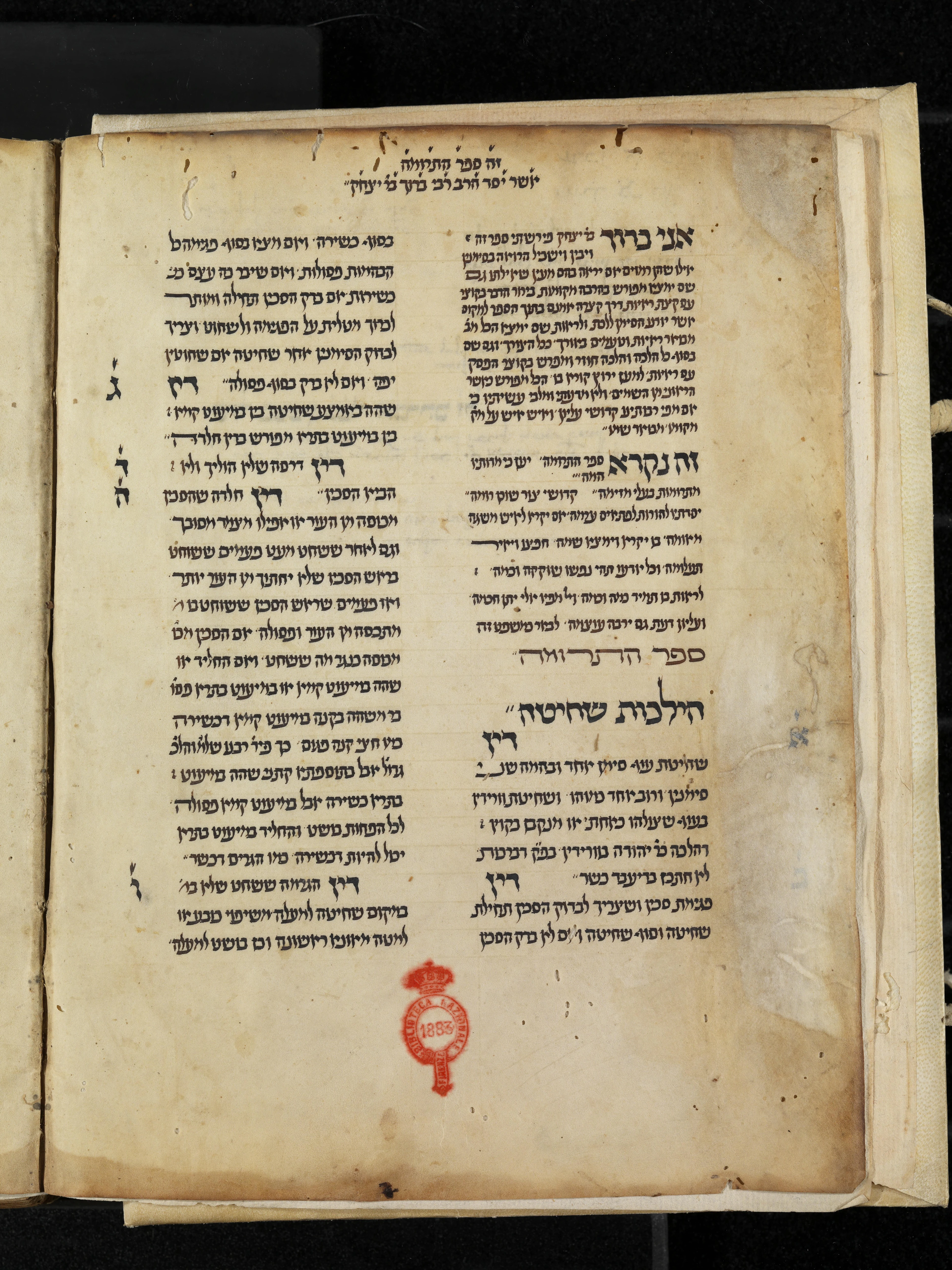 Image of item, e.g. a manuscript page