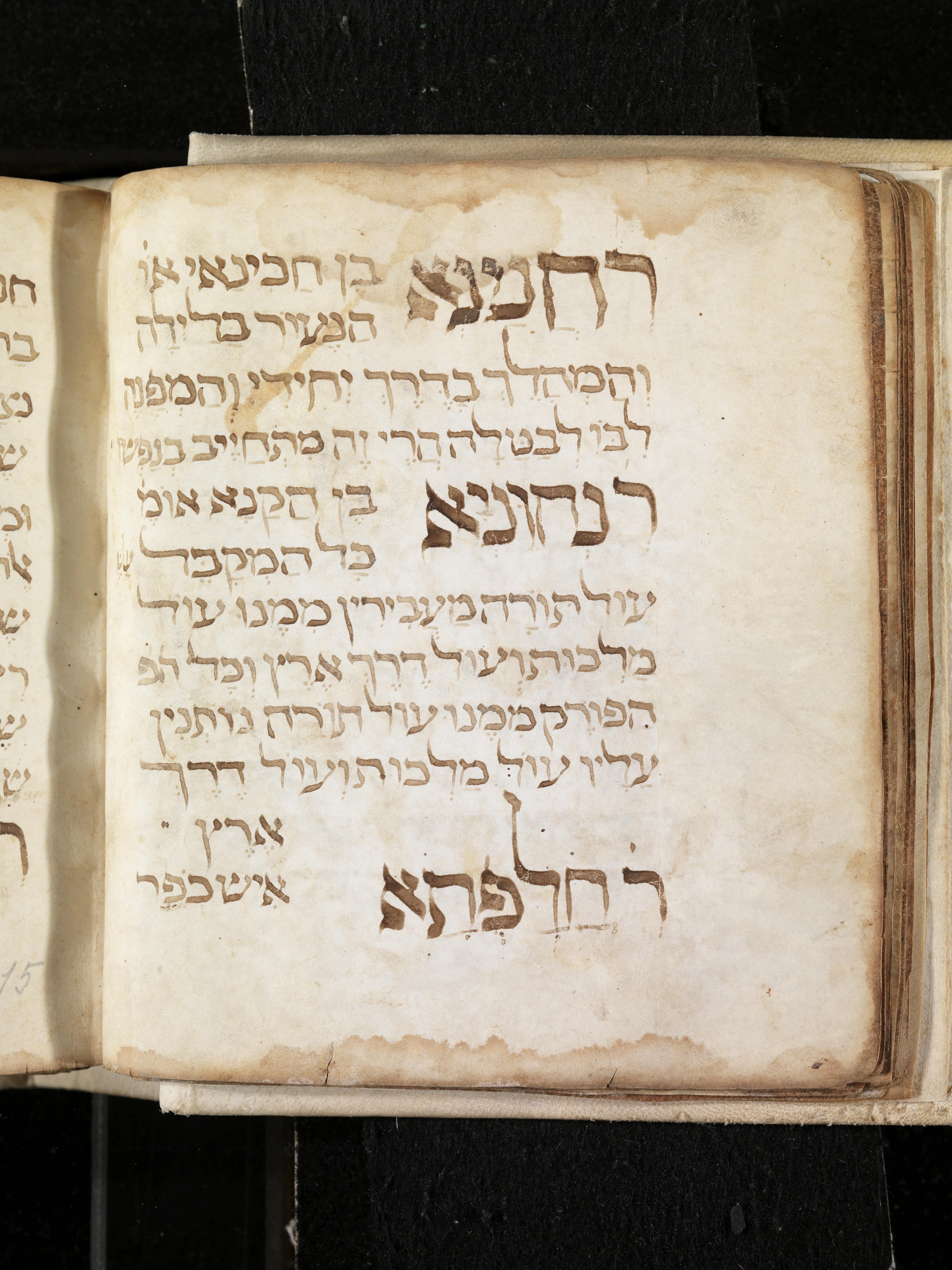 Image of item, e.g. a manuscript page