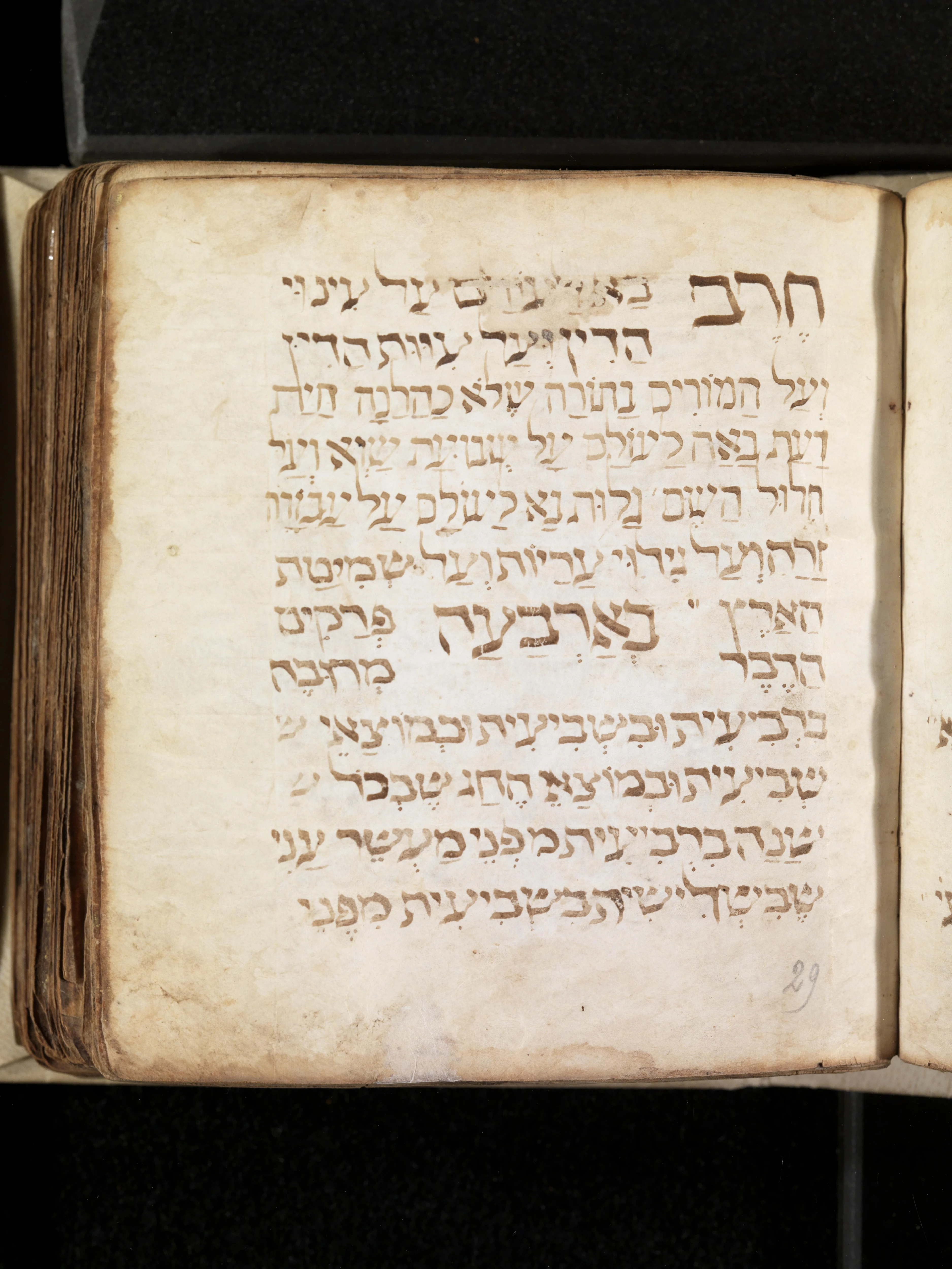 Image of item, e.g. a manuscript page