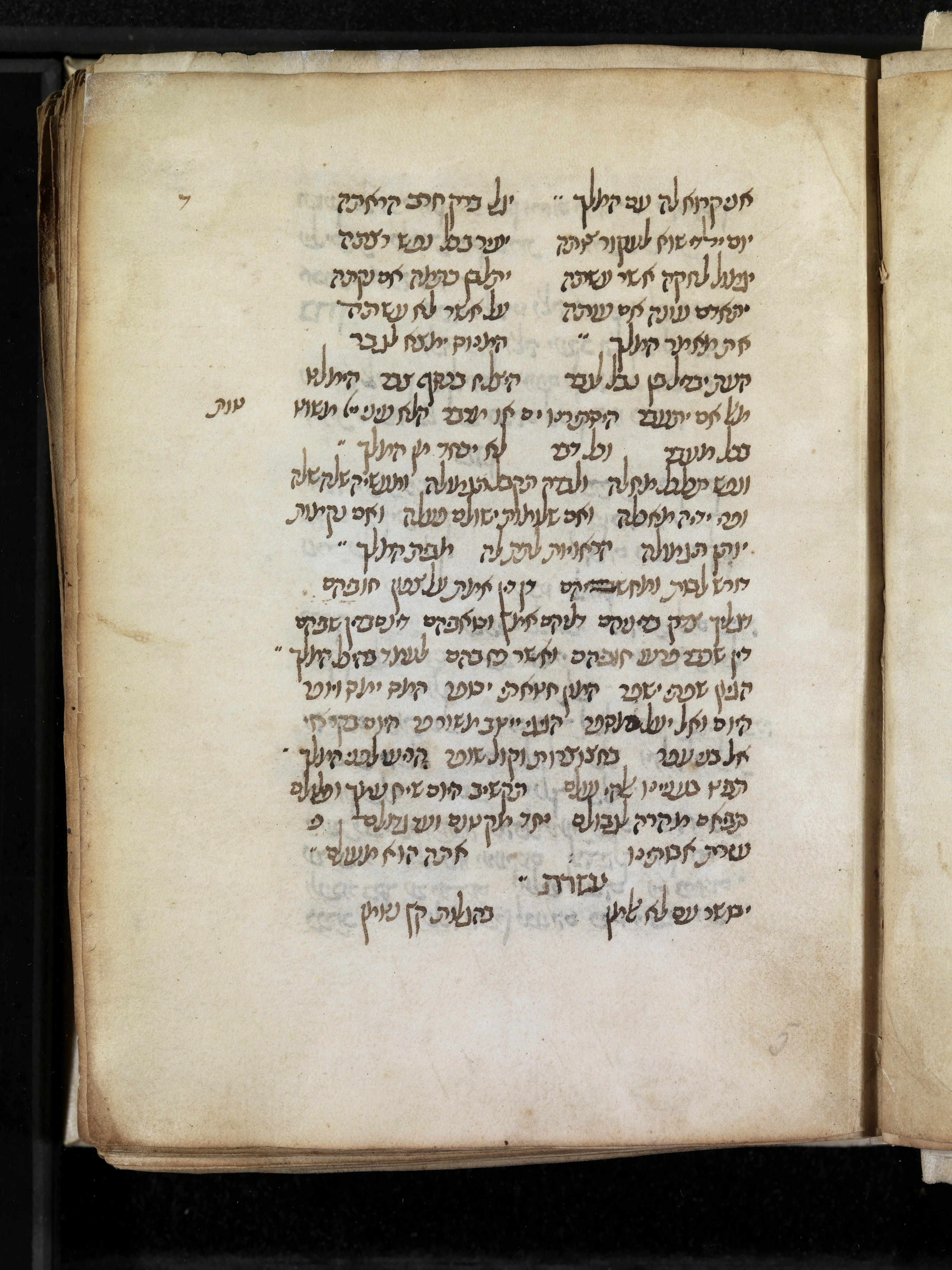 Image of item, e.g. a manuscript page