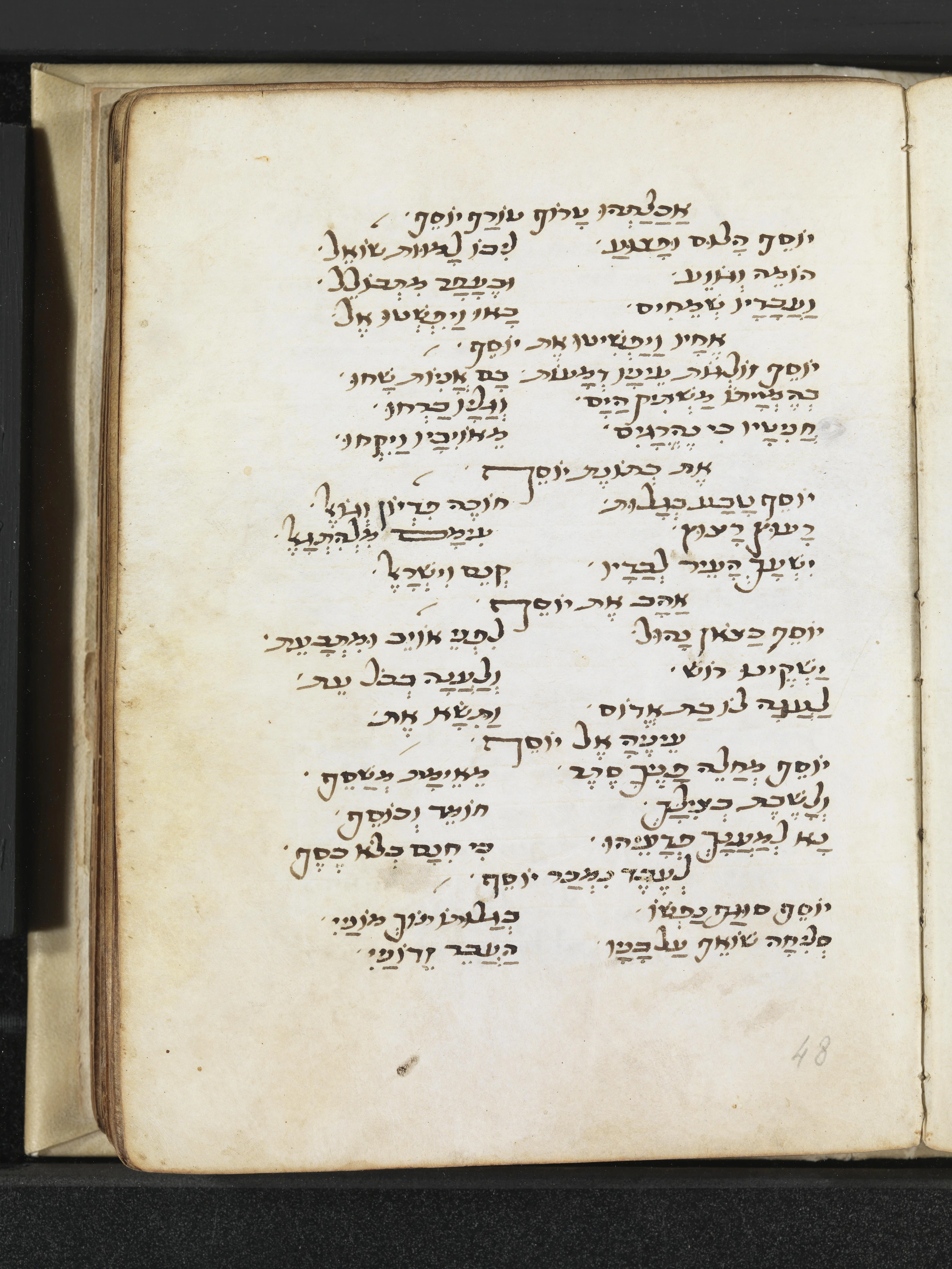 Image of item, e.g. a manuscript page