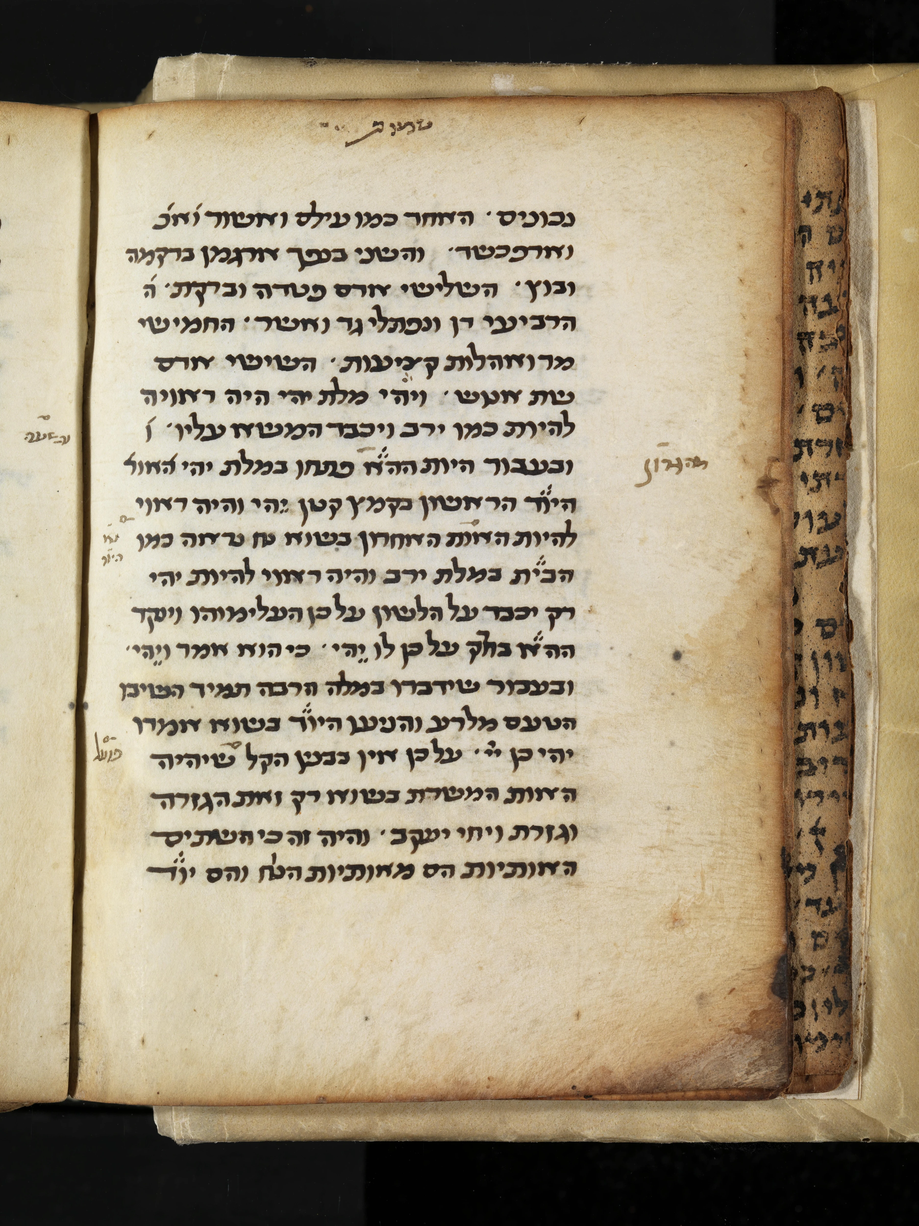 Image of item, e.g. a manuscript page