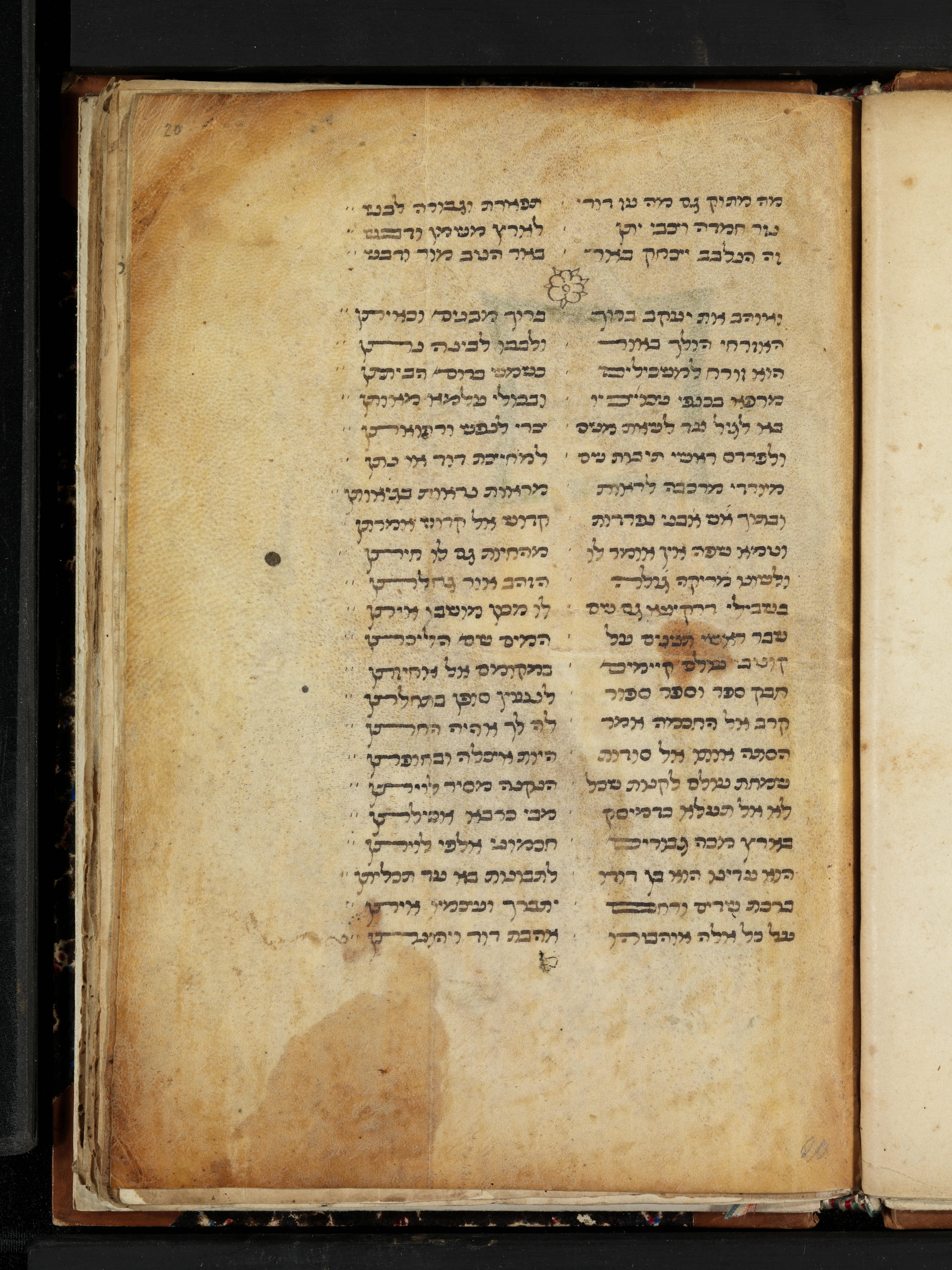Image of item, e.g. a manuscript page
