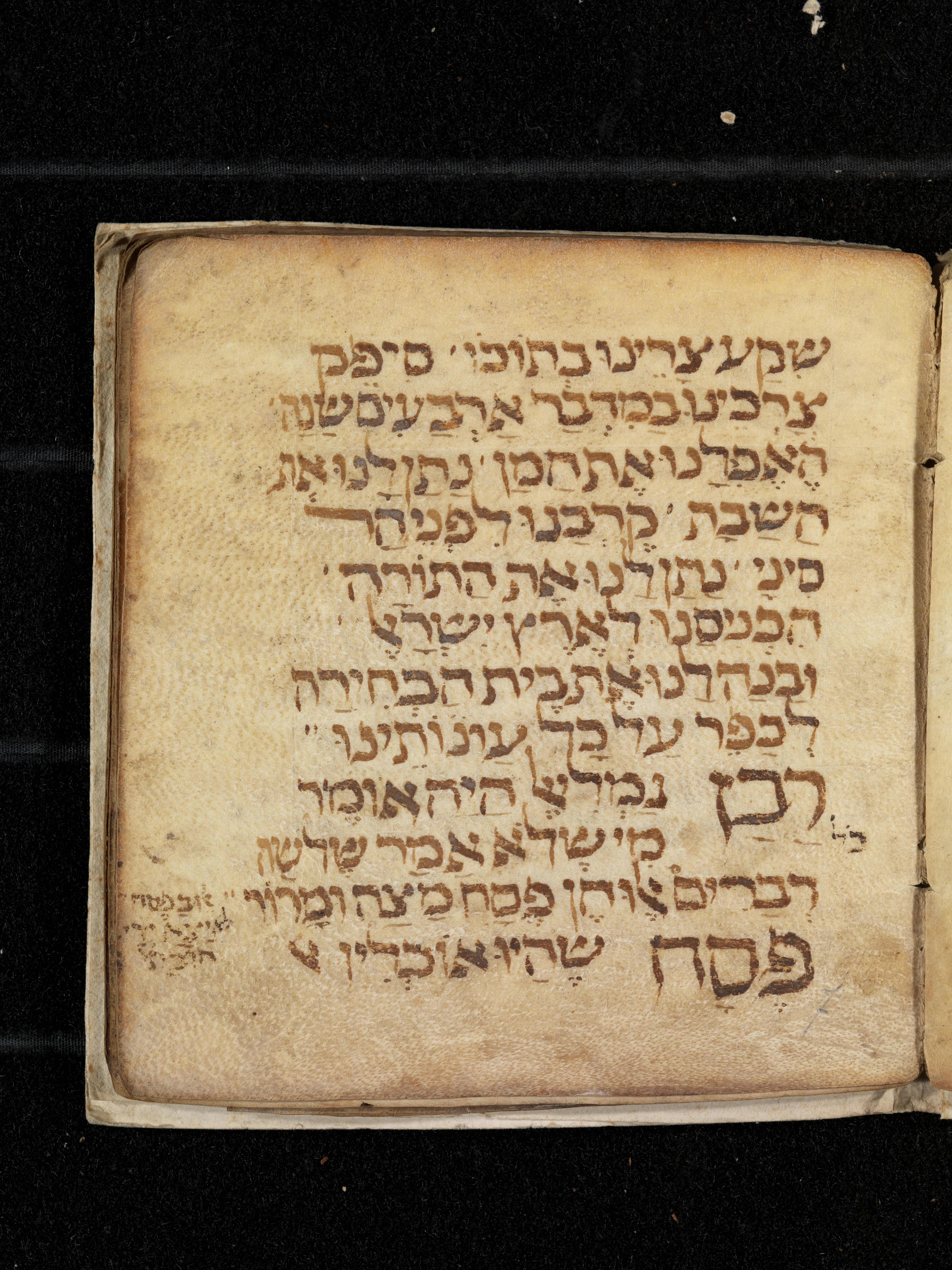 Image of item, e.g. a manuscript page