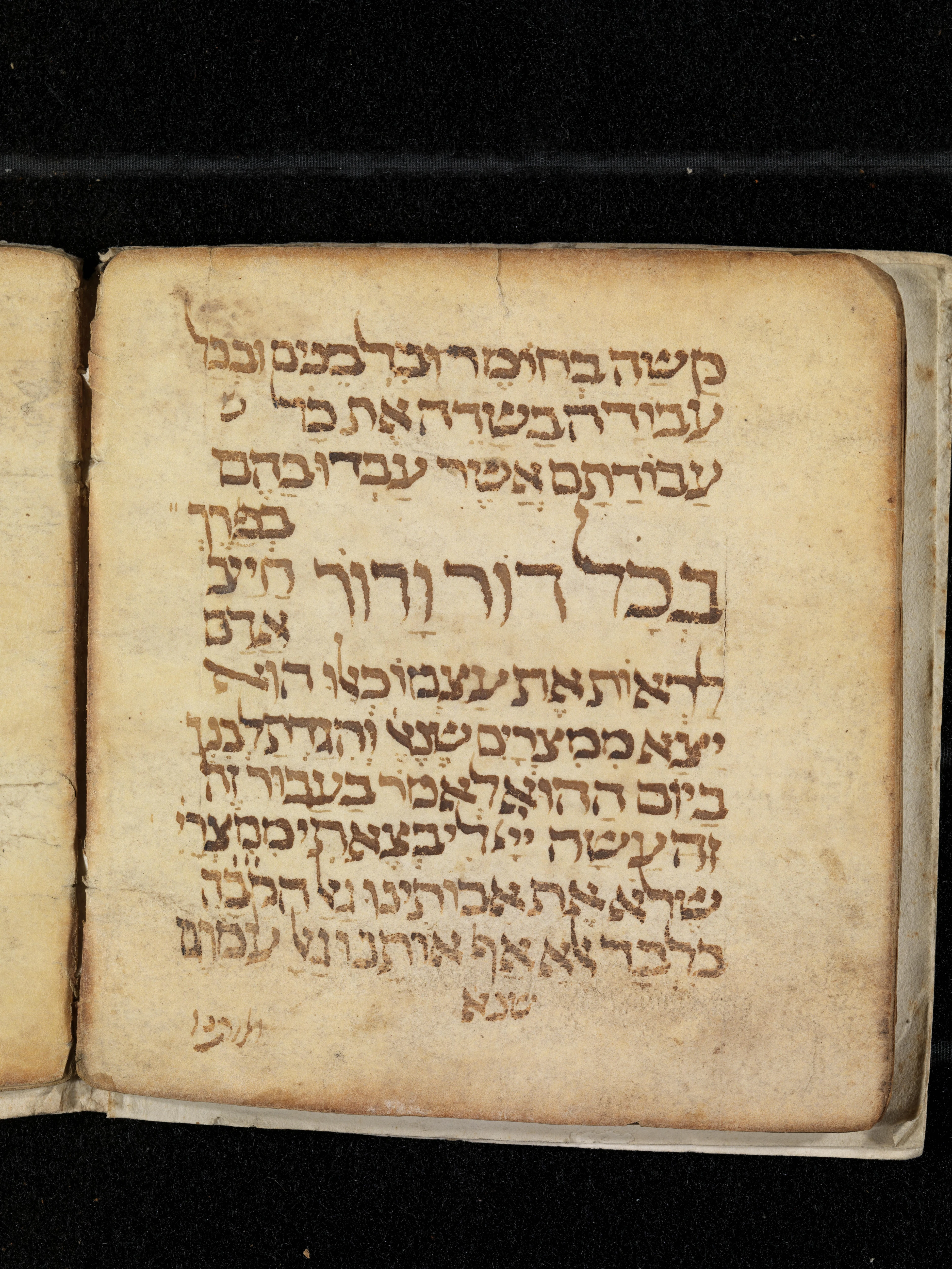 Image of item, e.g. a manuscript page