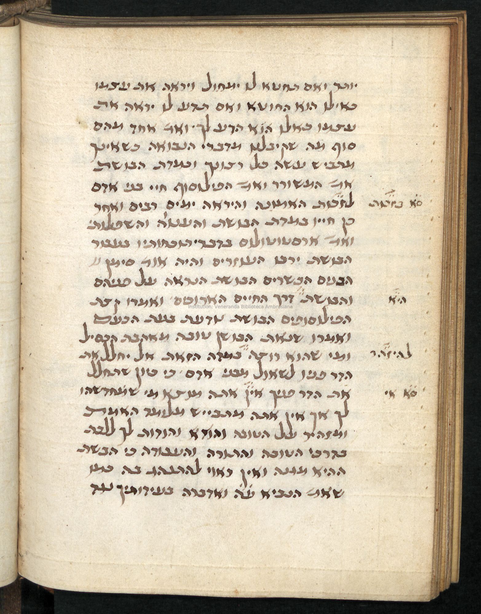 Image of item, e.g. a manuscript page