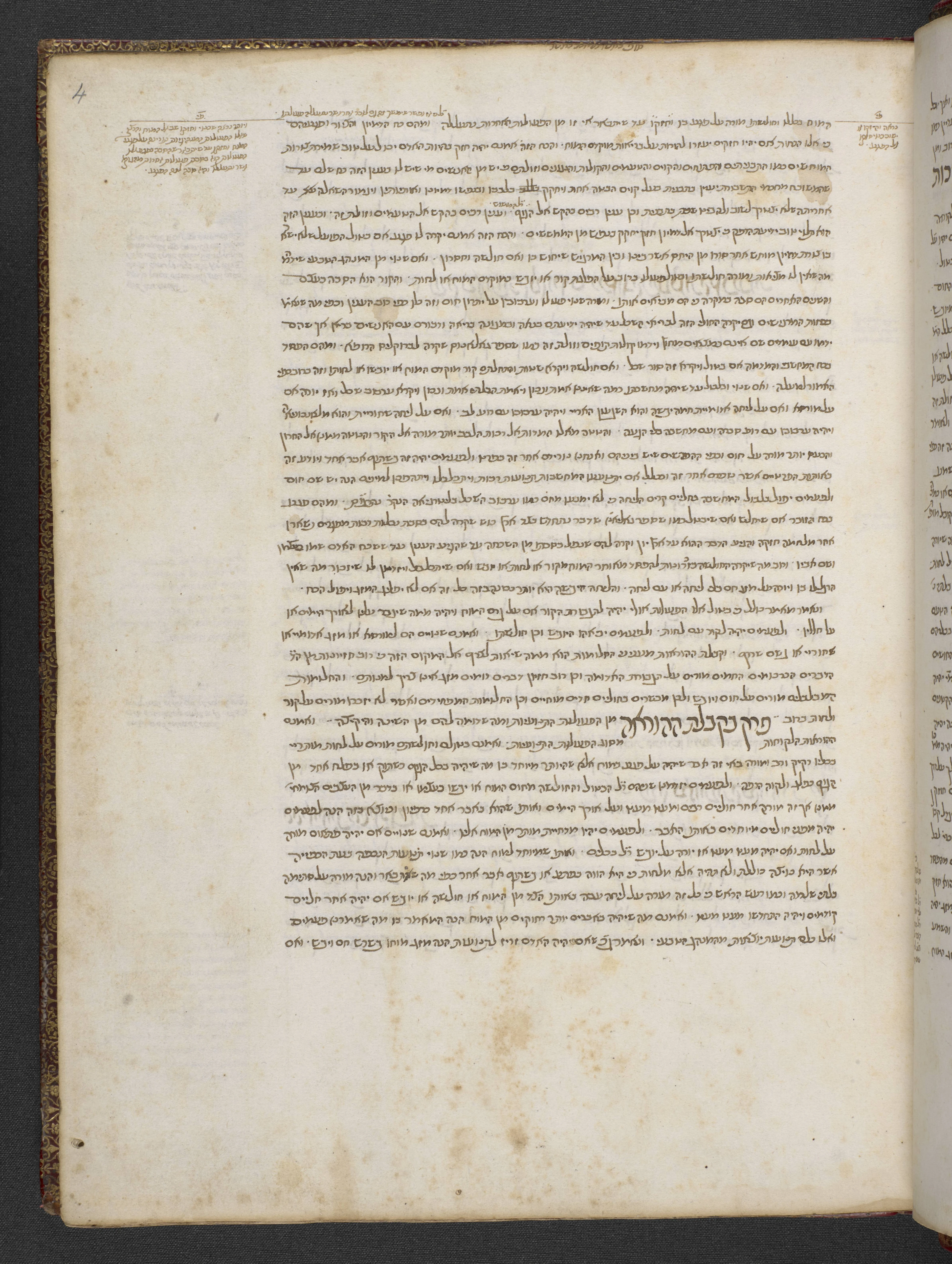 Image of item, e.g. a manuscript page