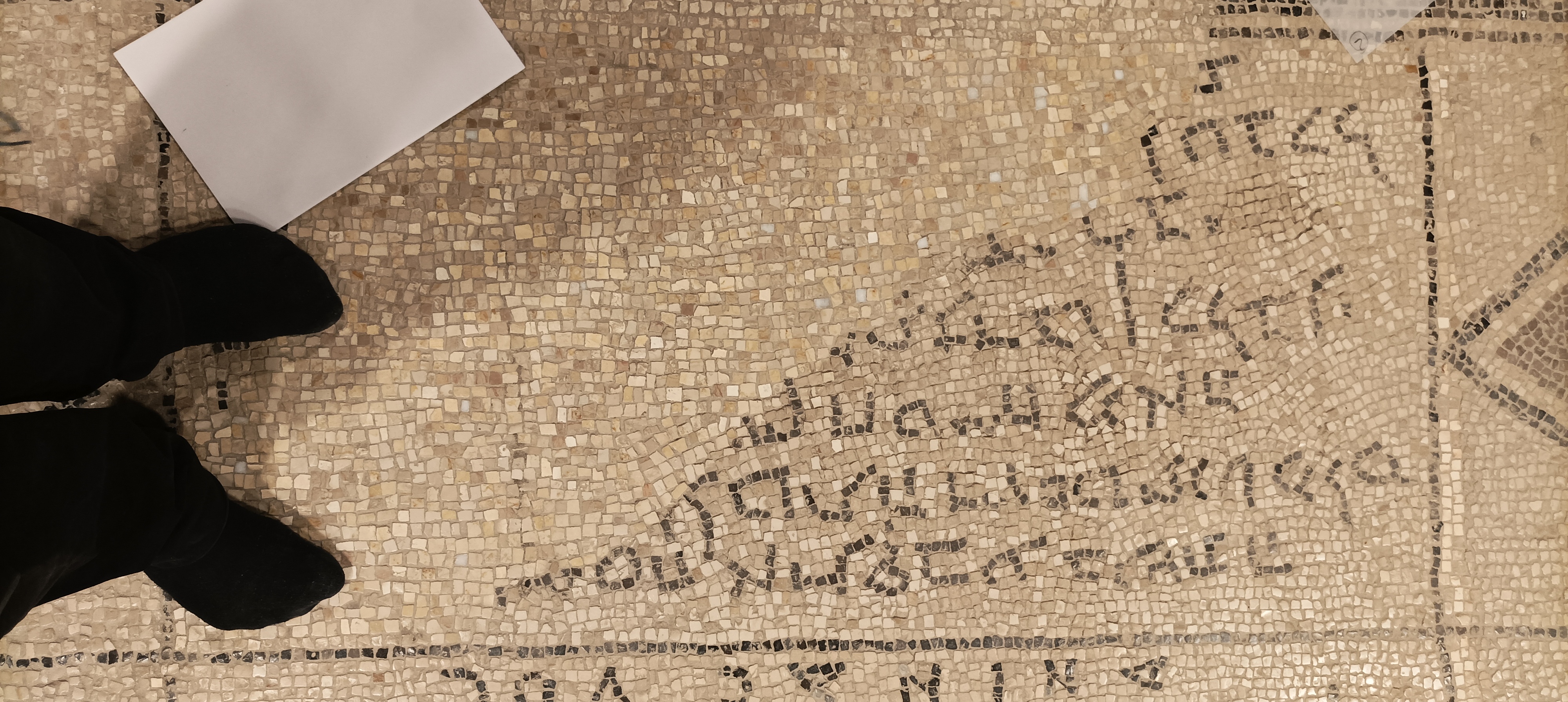 Image of item, e.g. a manuscript page