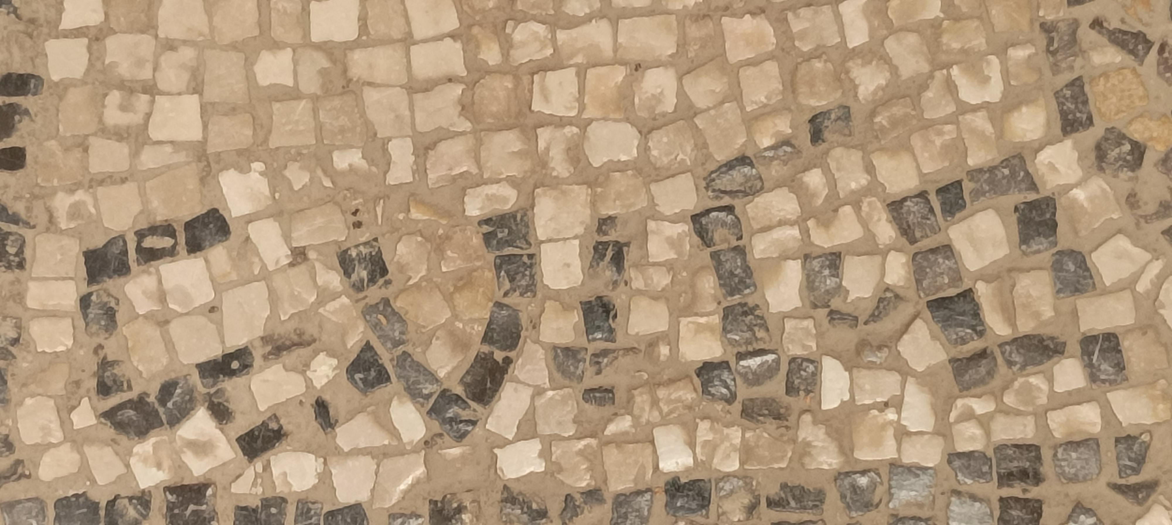 Image of item, e.g. a manuscript page