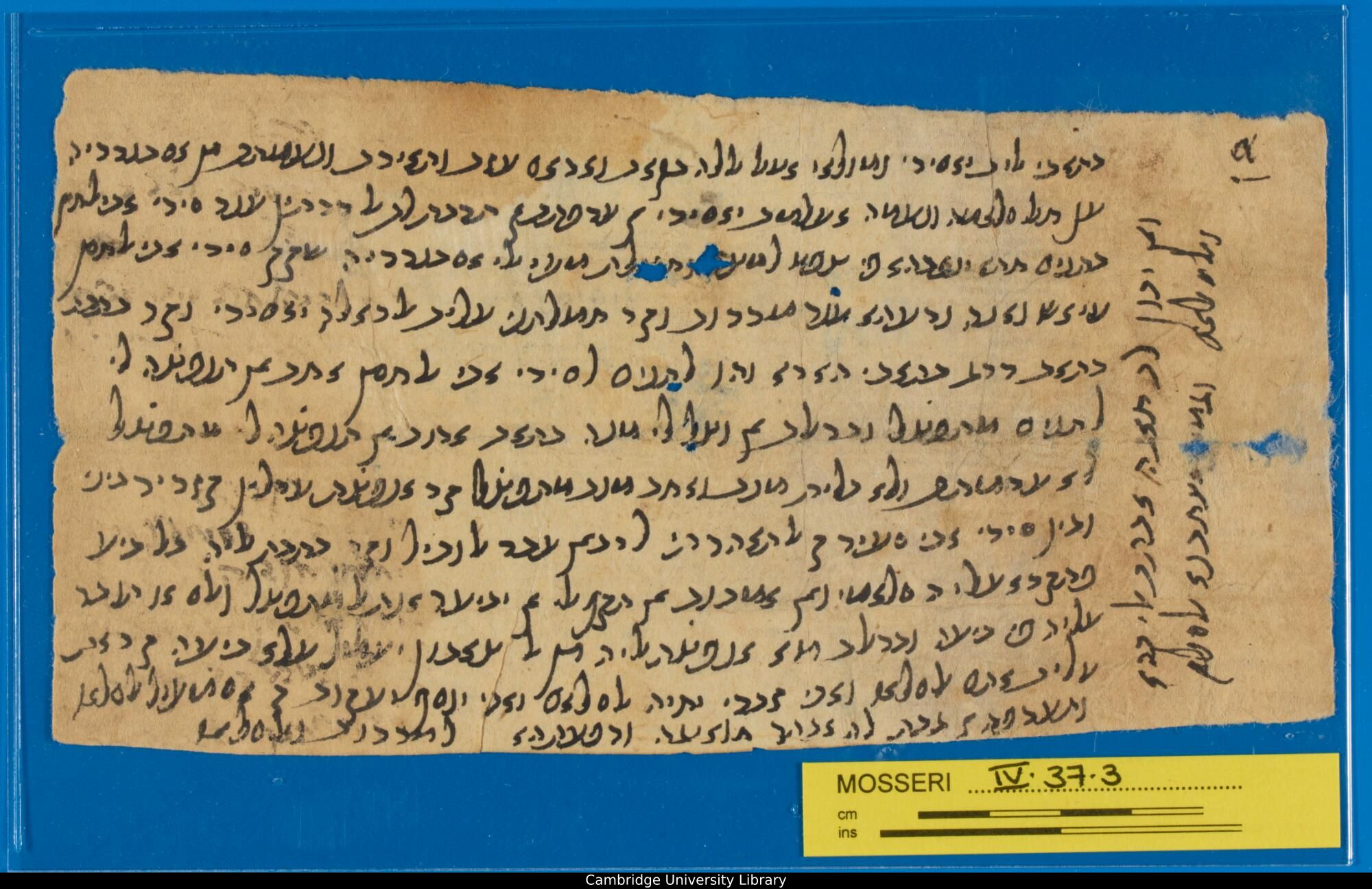 Image of item, e.g. a manuscript page