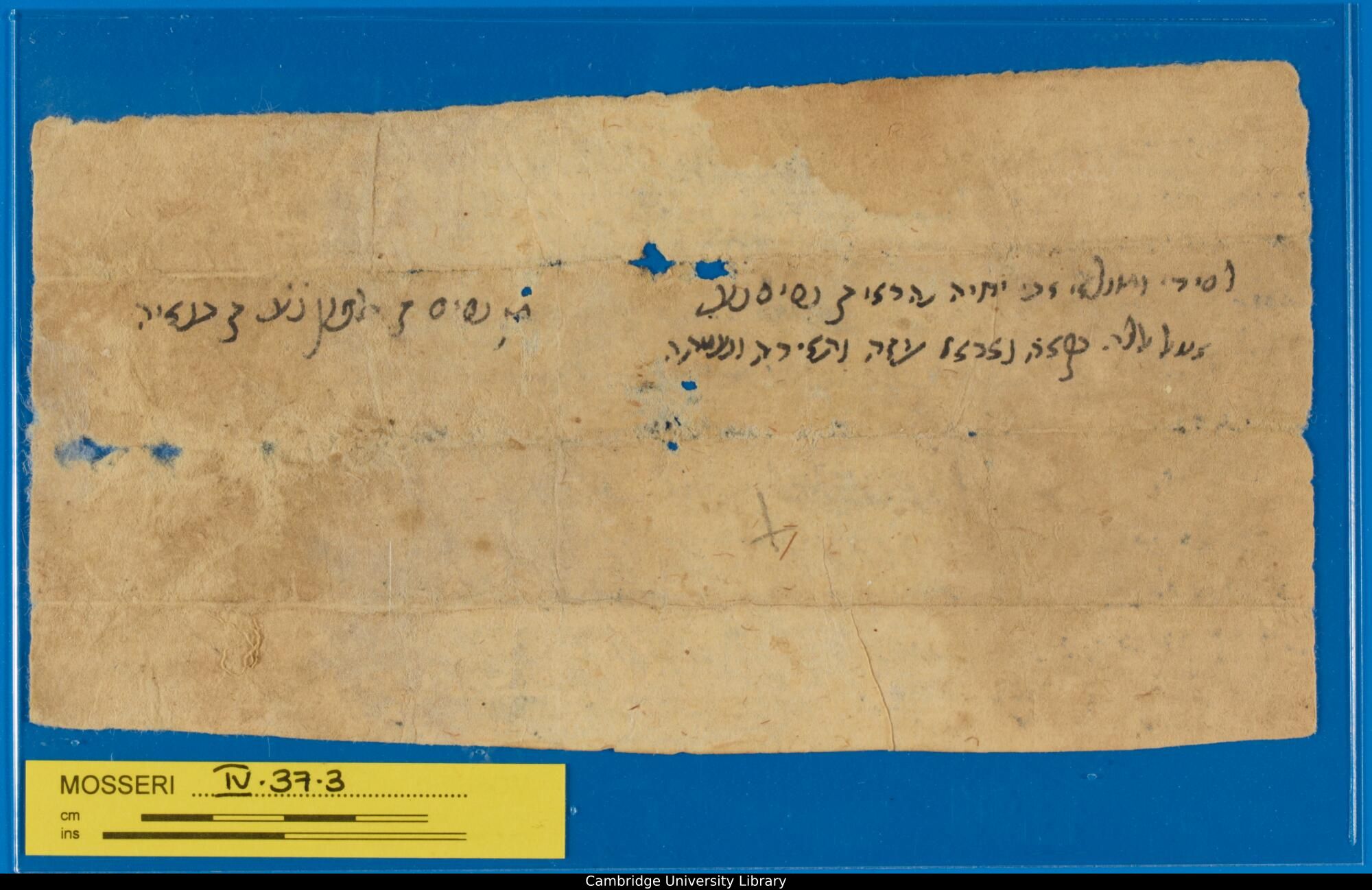 Image of item, e.g. a manuscript page
