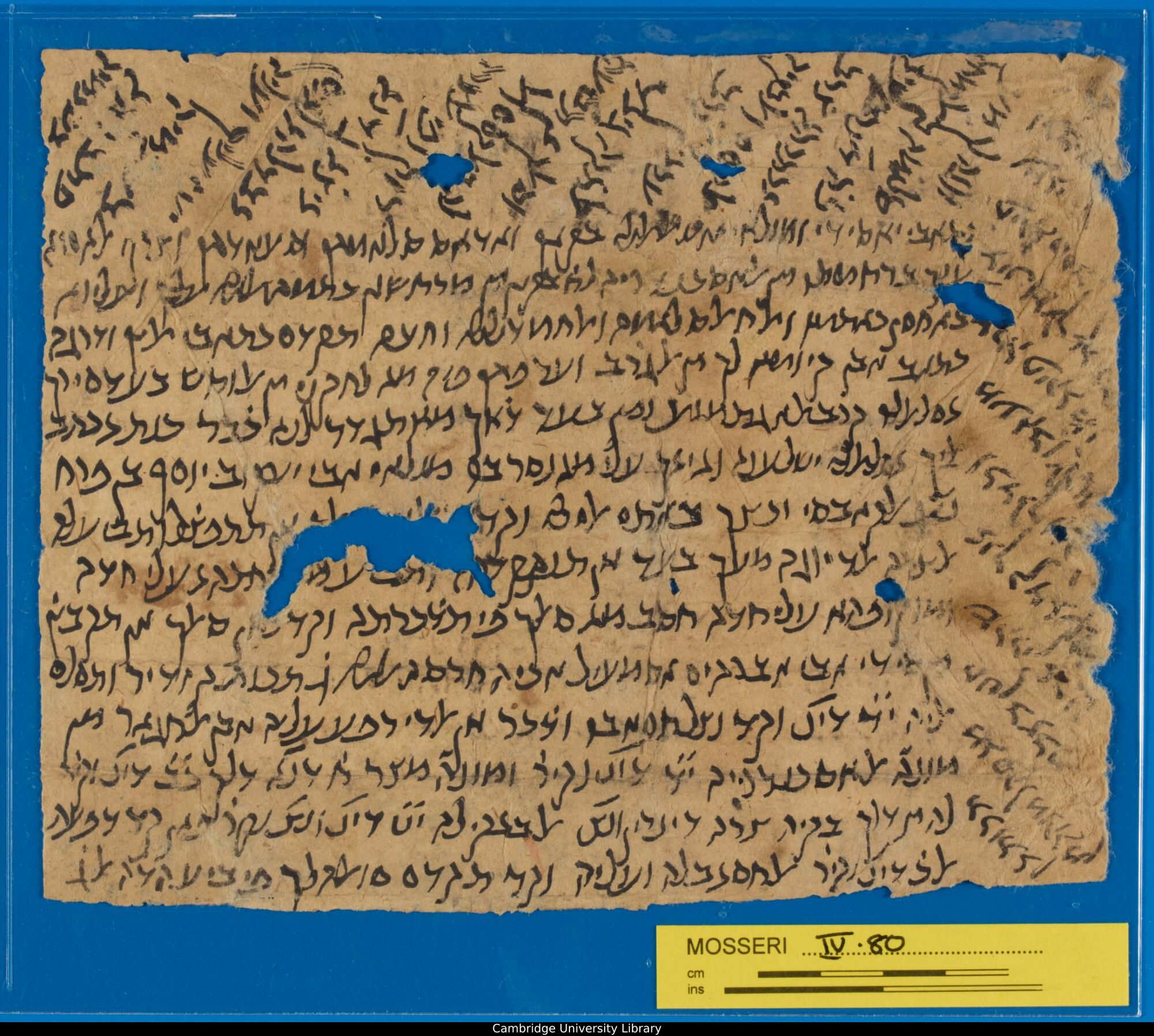 Image of item, e.g. a manuscript page