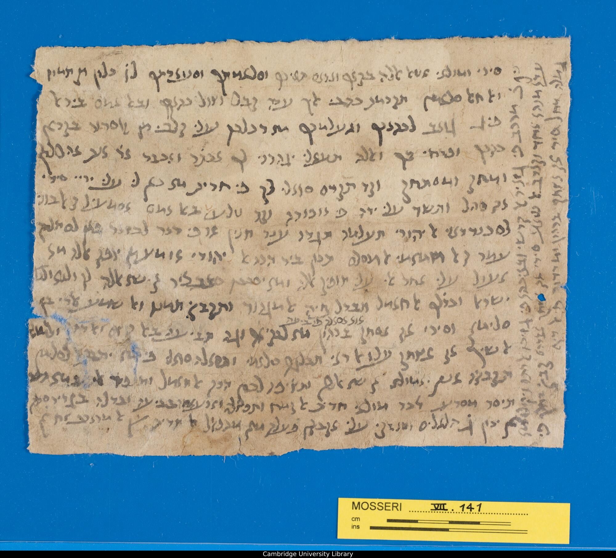 Image of item, e.g. a manuscript page