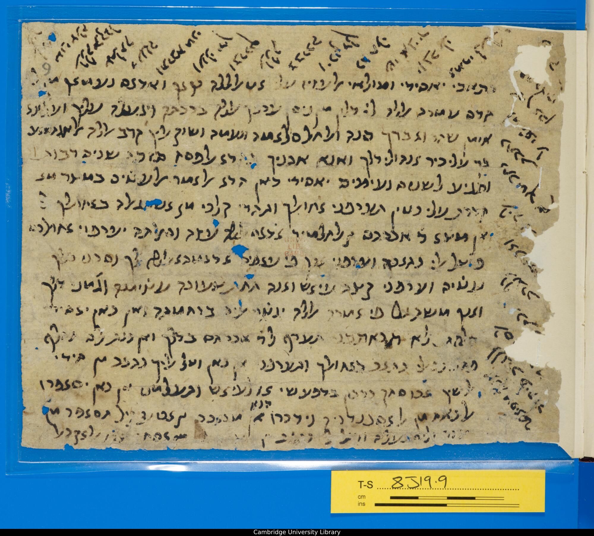 Image of item, e.g. a manuscript page