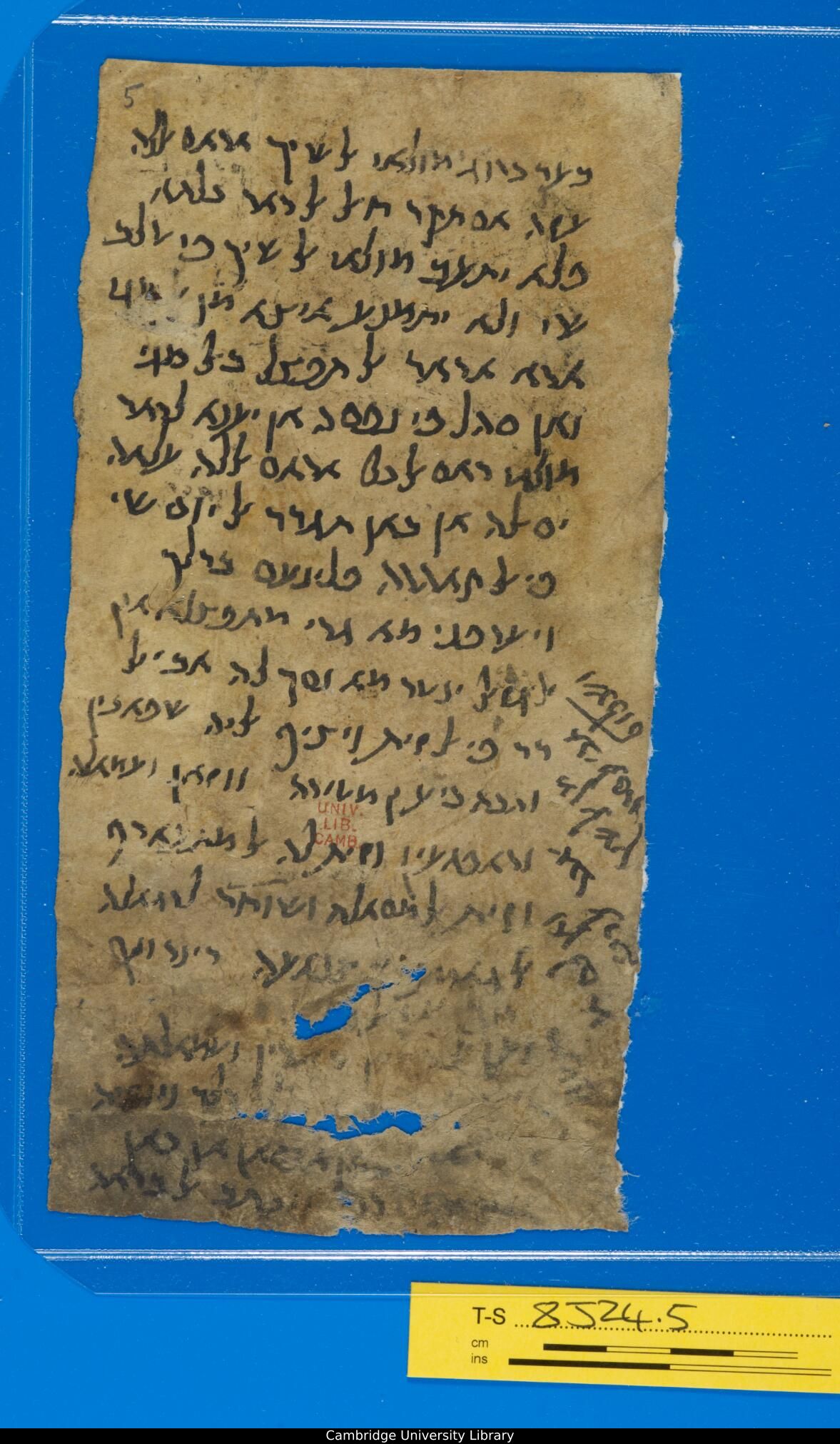 Image of item, e.g. a manuscript page