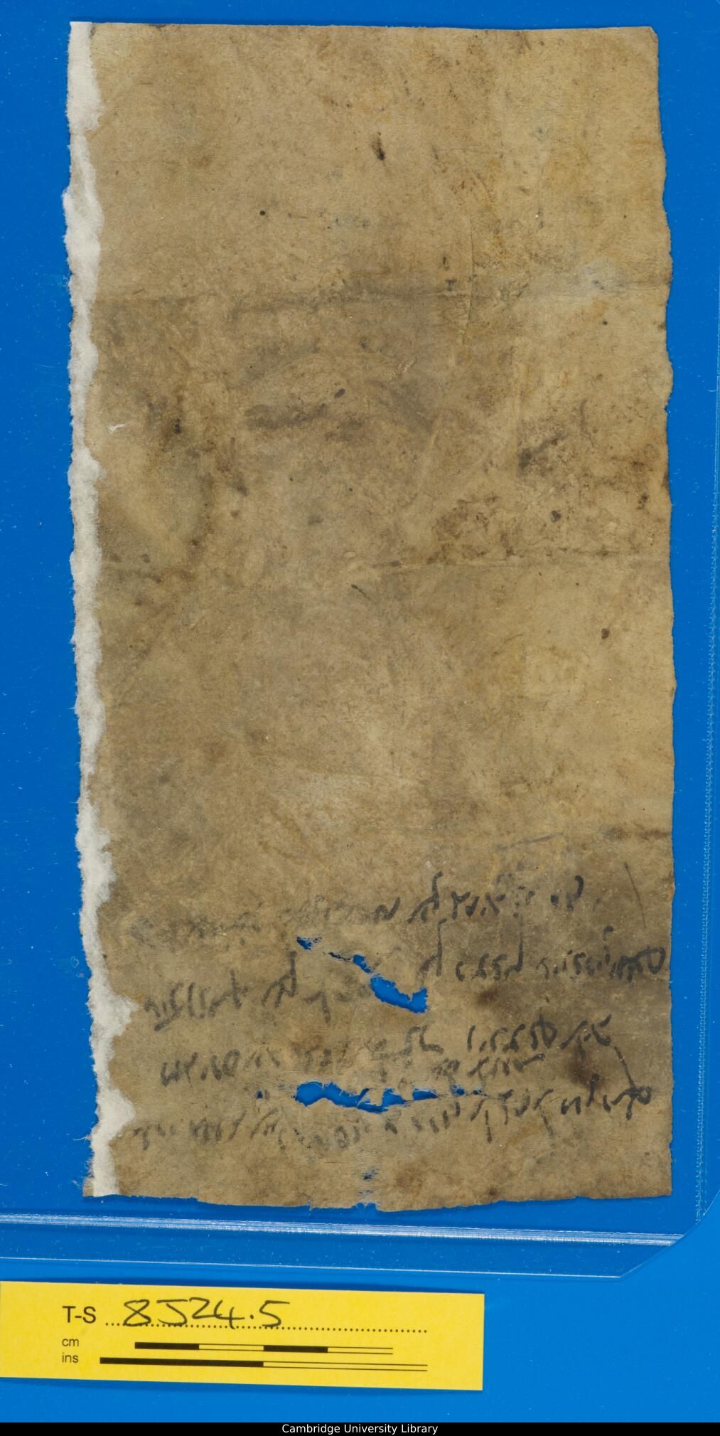 Image of item, e.g. a manuscript page