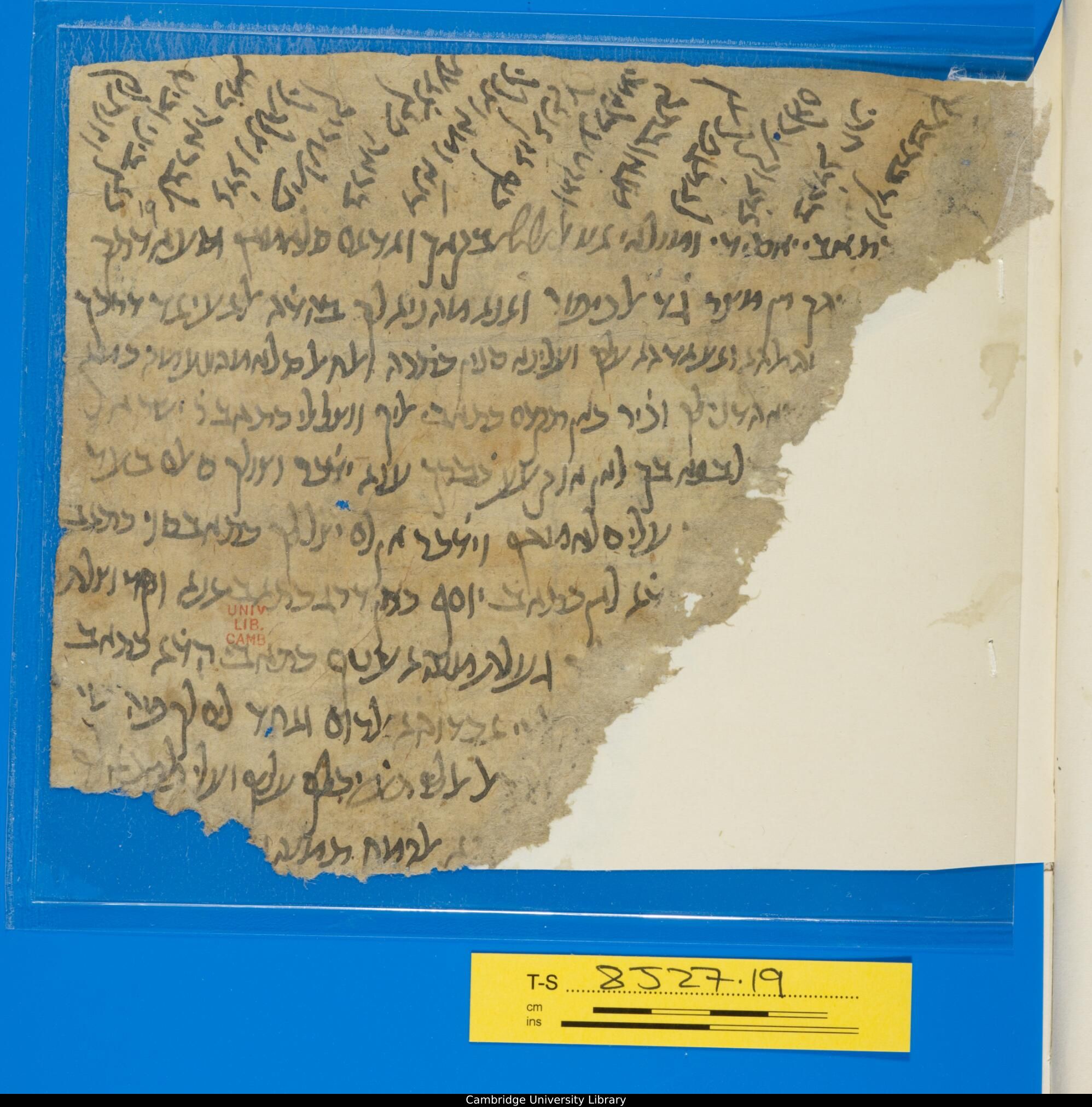 Image of item, e.g. a manuscript page