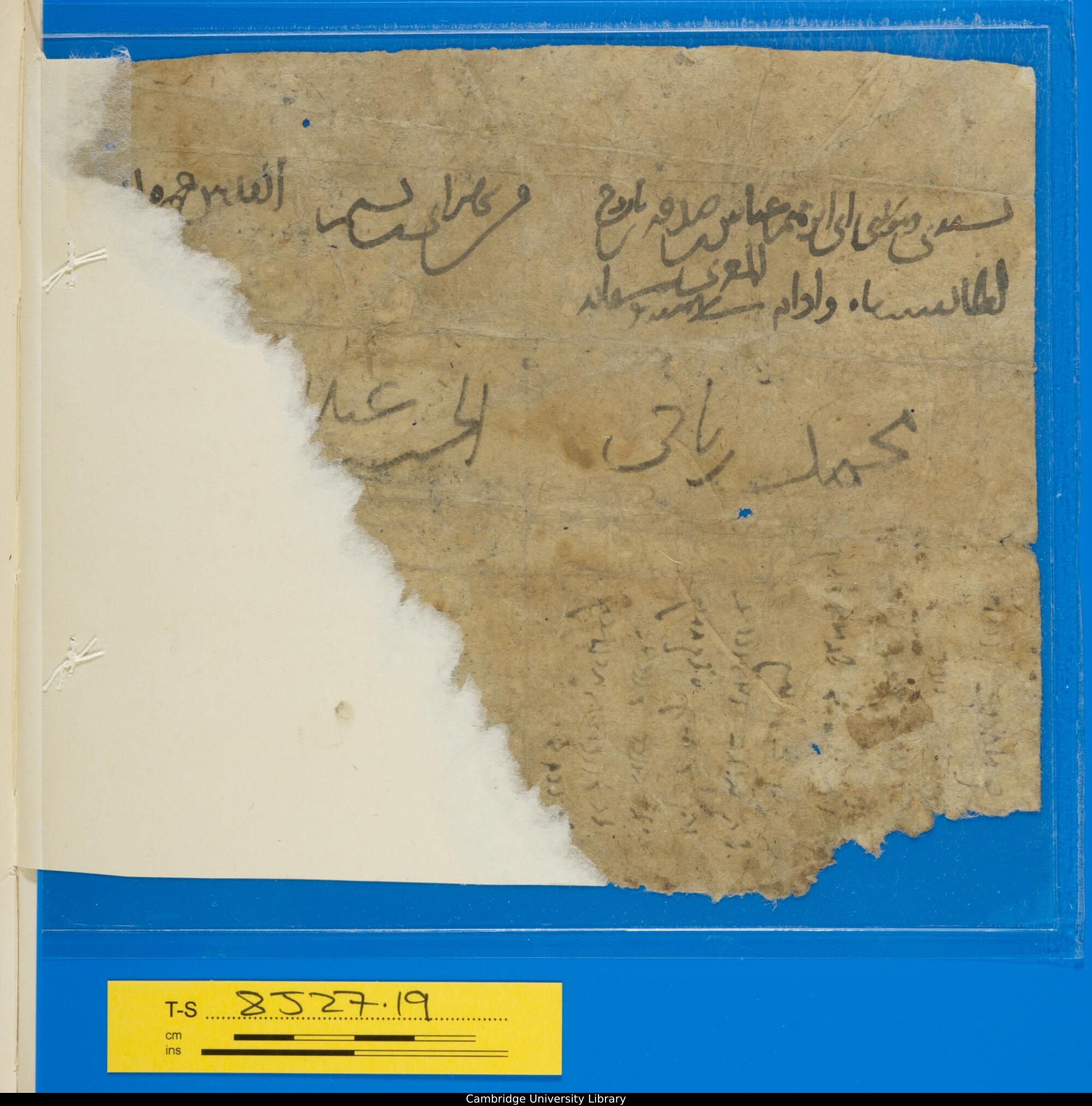 Image of item, e.g. a manuscript page