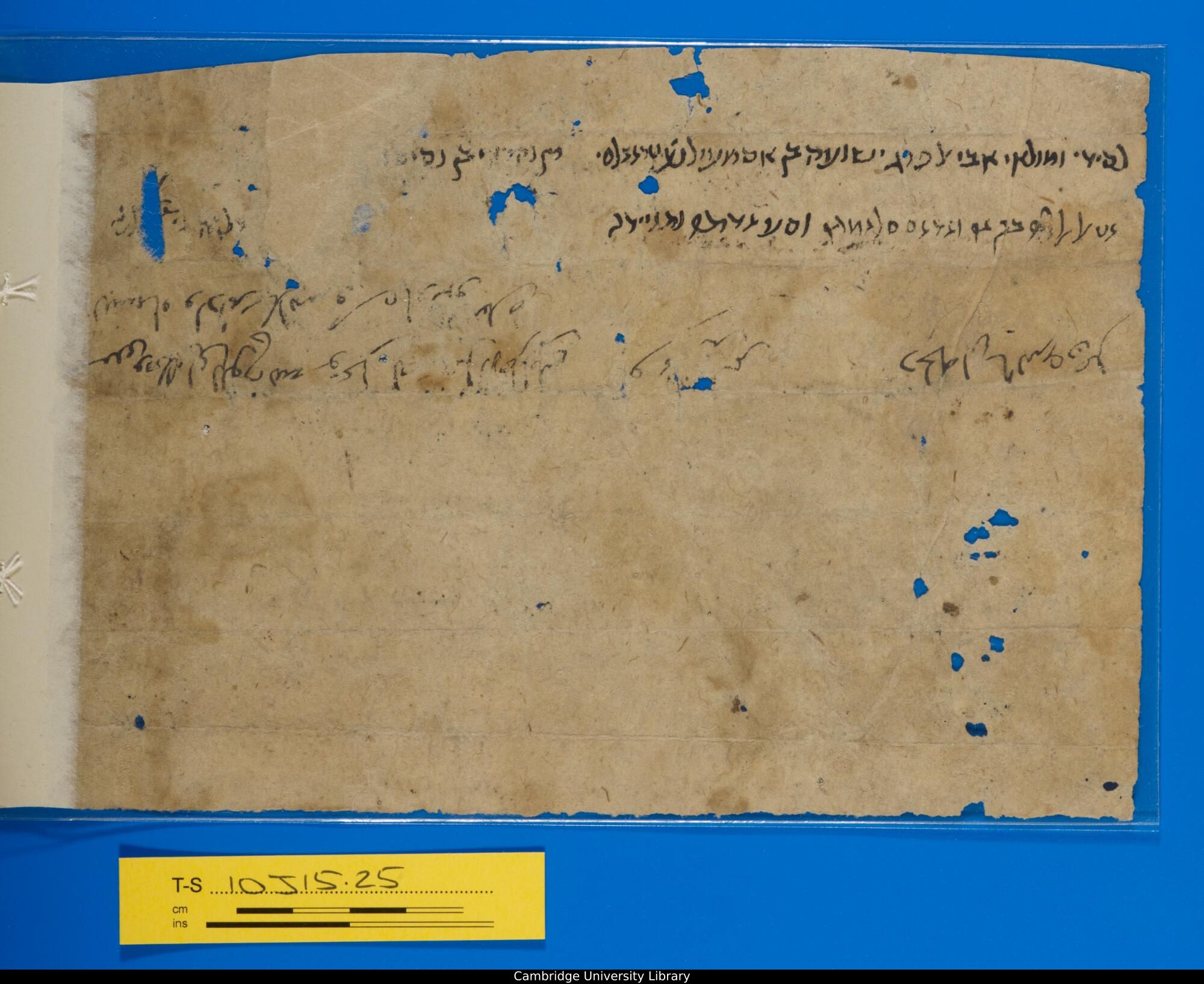 Image of item, e.g. a manuscript page