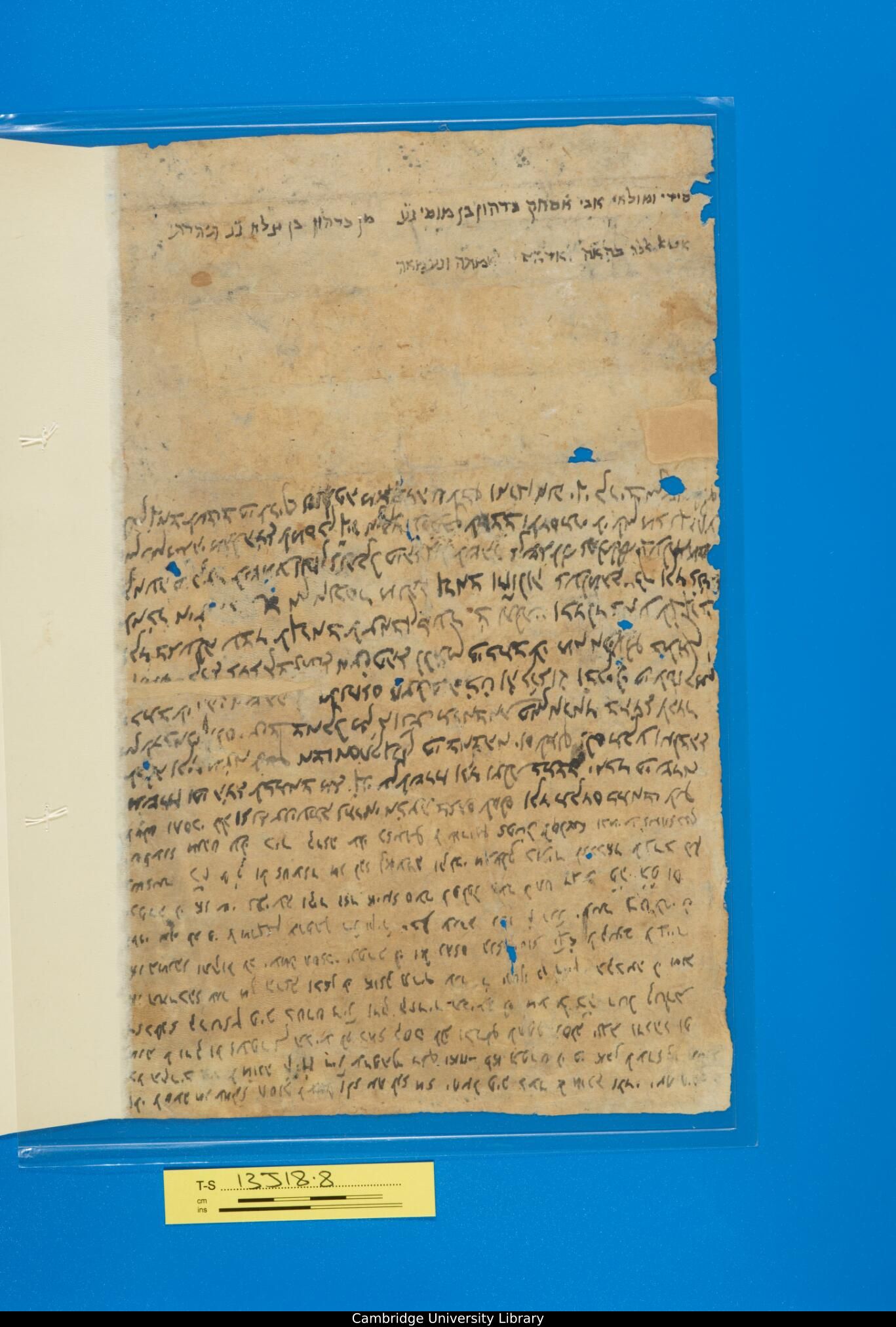 Image of item, e.g. a manuscript page