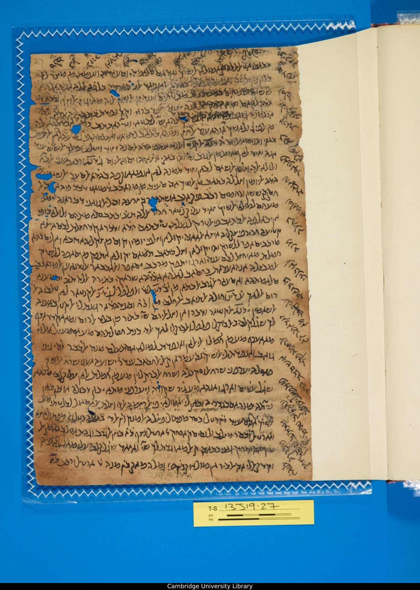 Image of item, e.g. a manuscript page