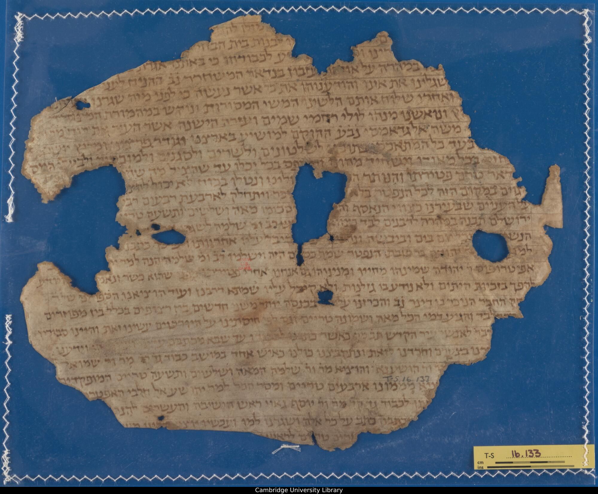 Image of item, e.g. a manuscript page