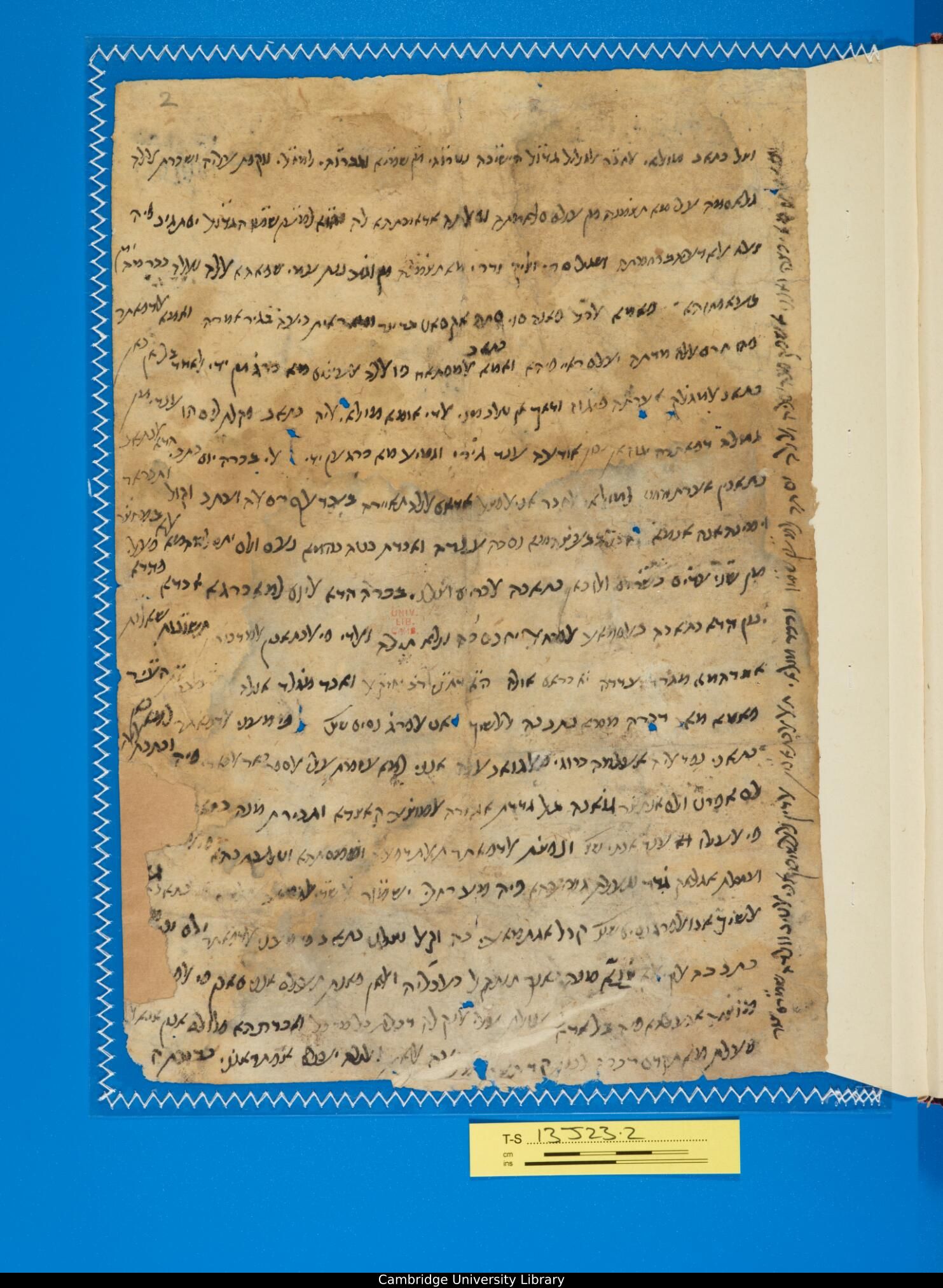Image of item, e.g. a manuscript page