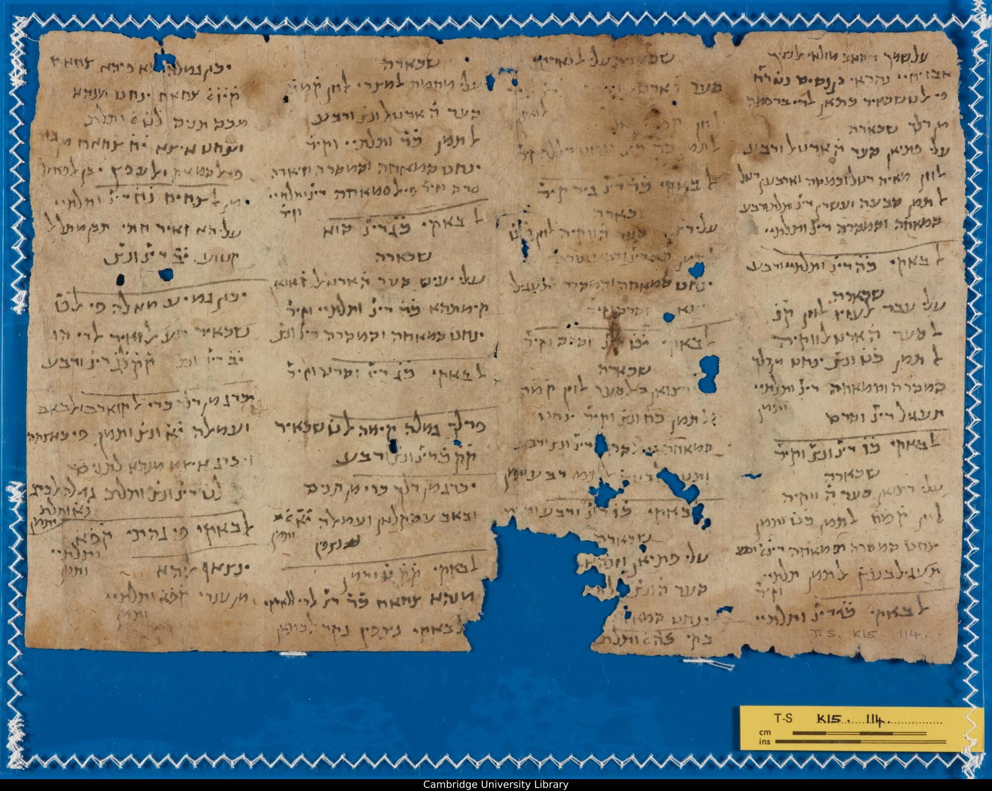 Image of item, e.g. a manuscript page