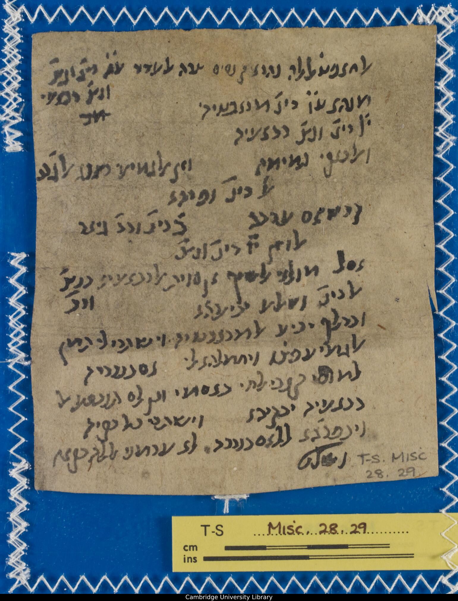 Image of item, e.g. a manuscript page