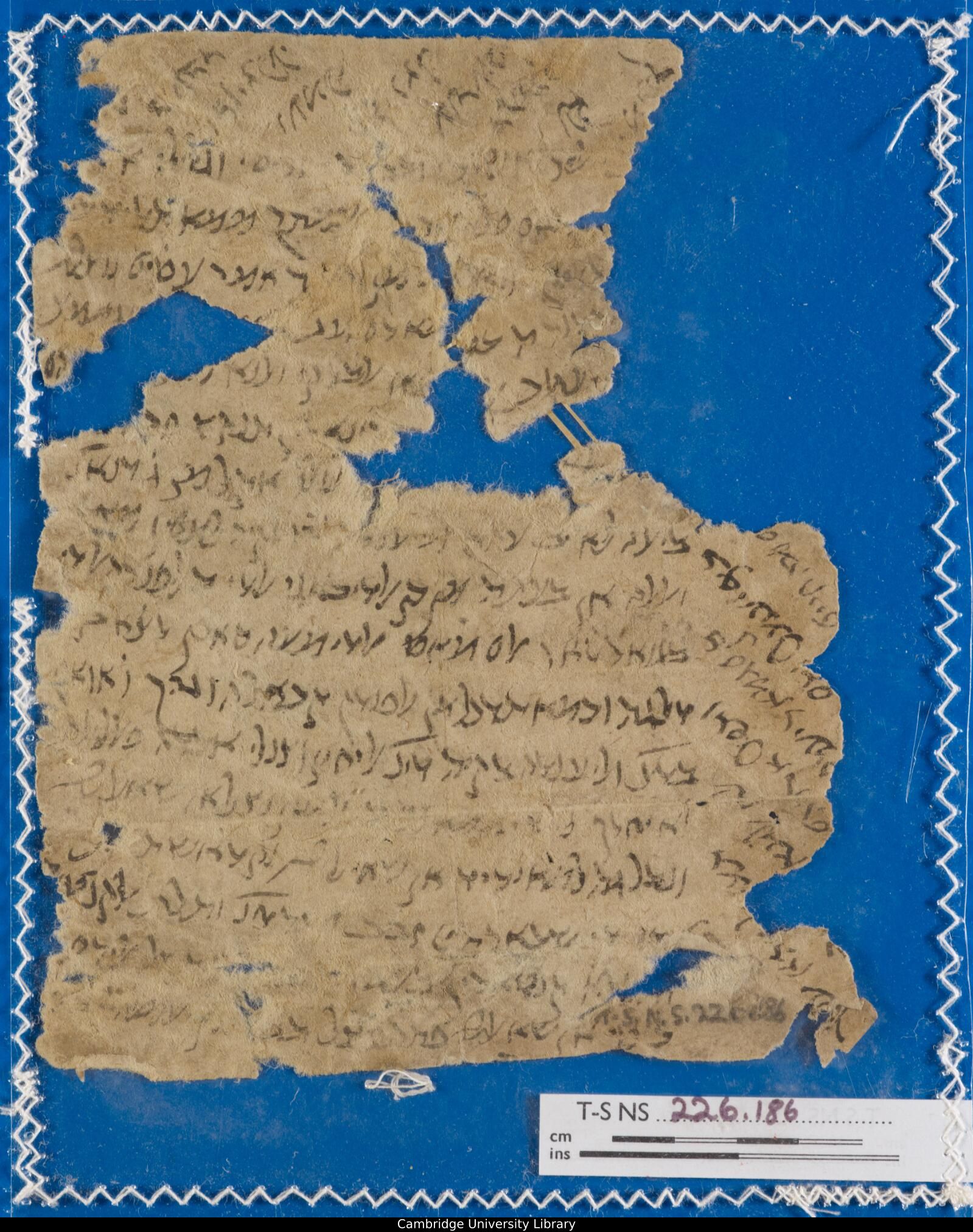Image of item, e.g. a manuscript page