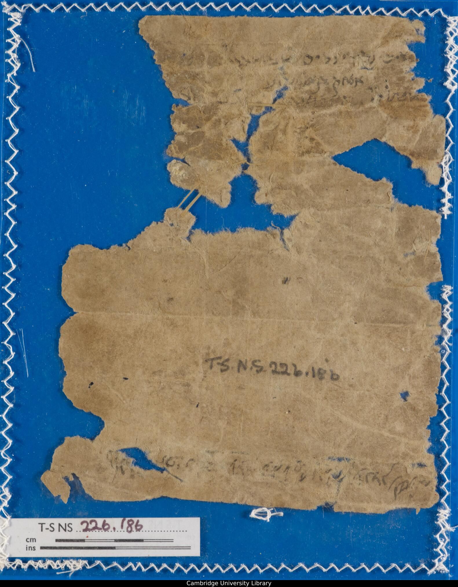 Image of item, e.g. a manuscript page