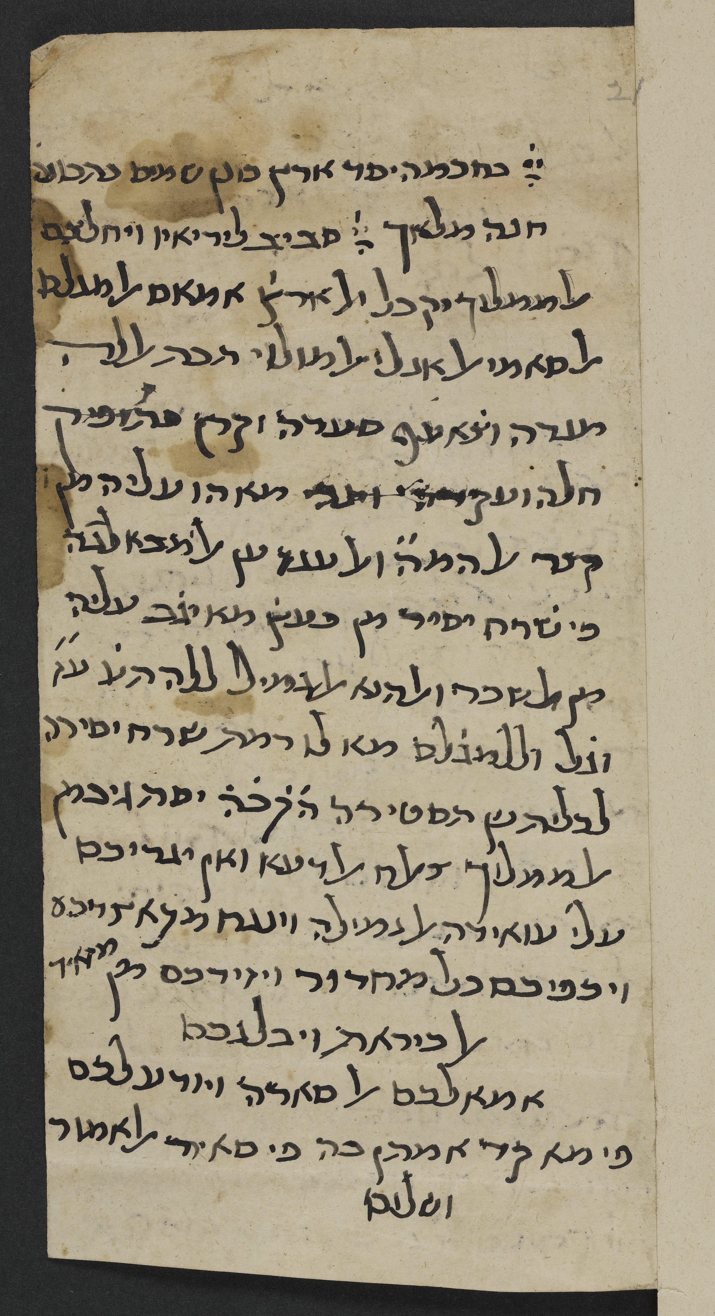 Image of item, e.g. a manuscript page