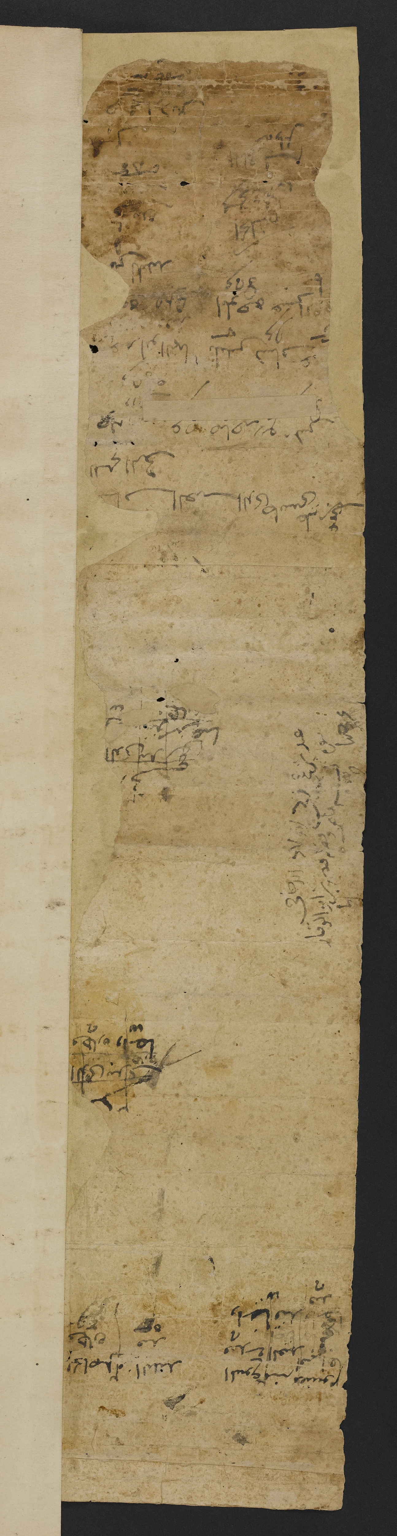 Image of item, e.g. a manuscript page