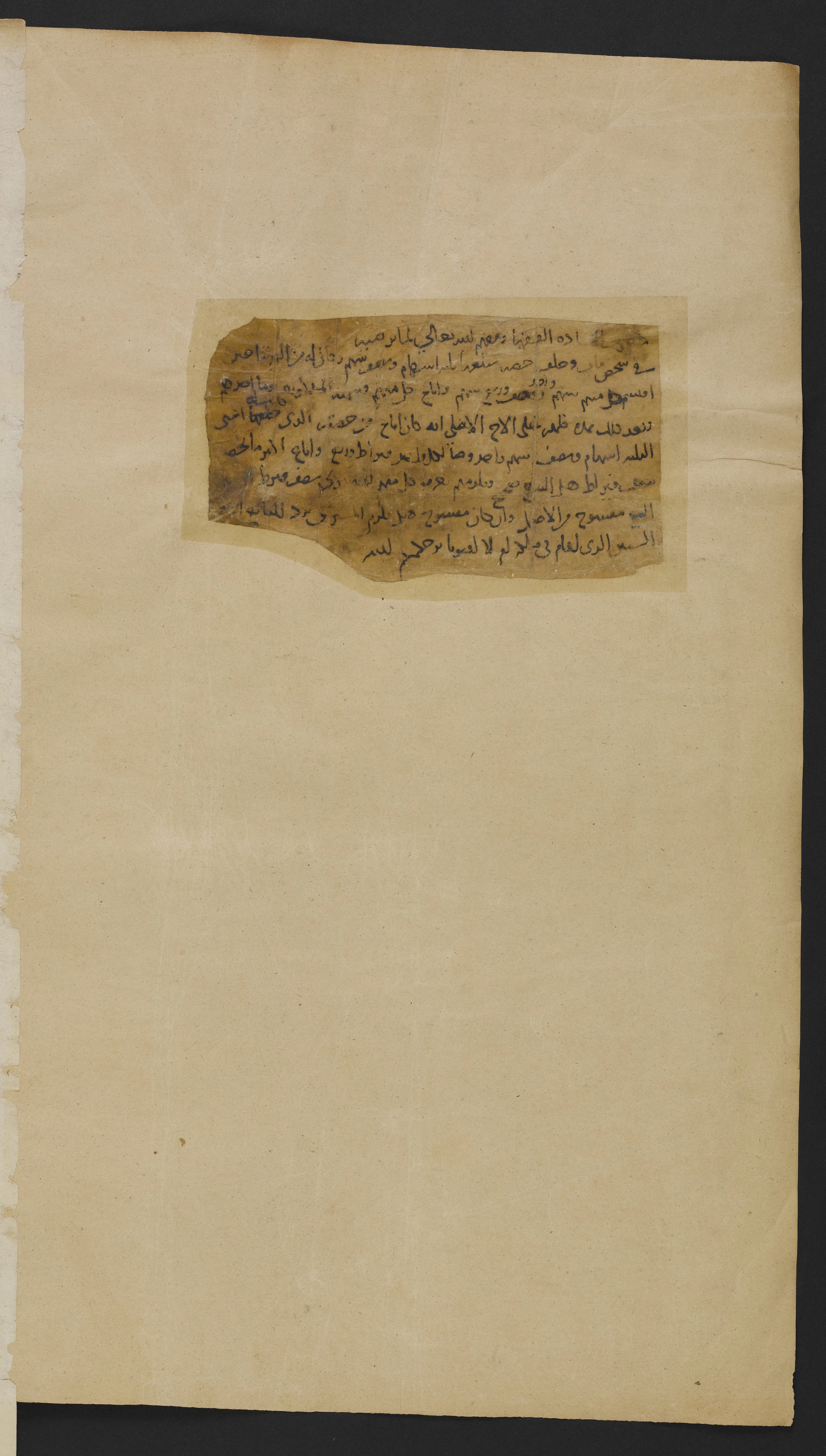 Image of item, e.g. a manuscript page