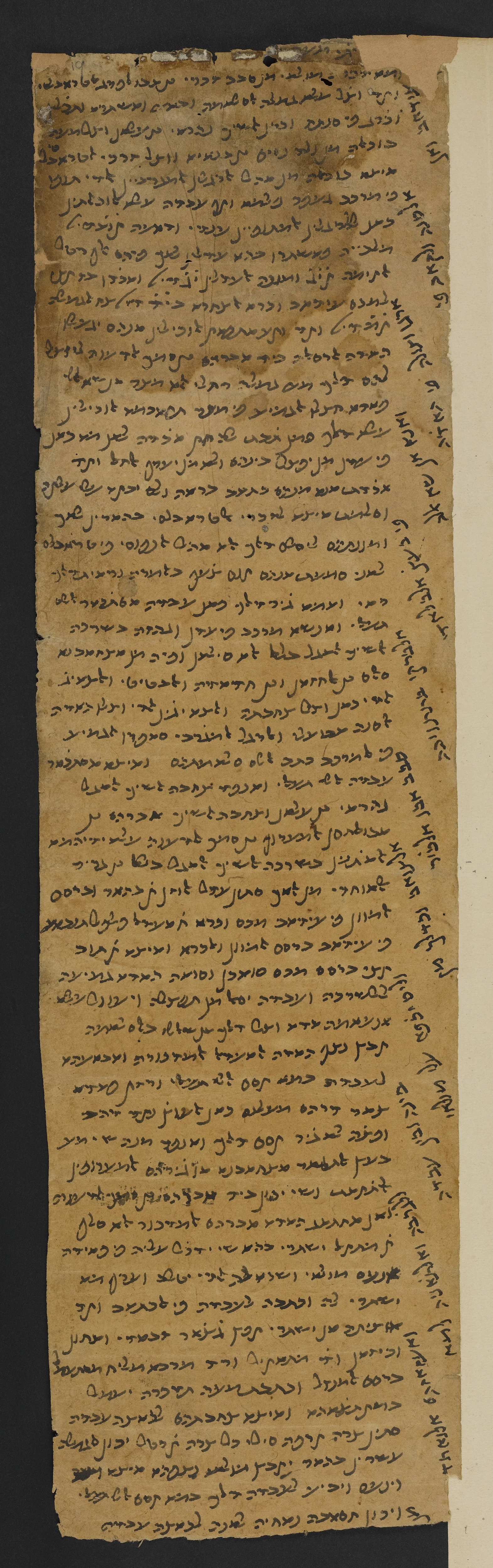 Image of item, e.g. a manuscript page
