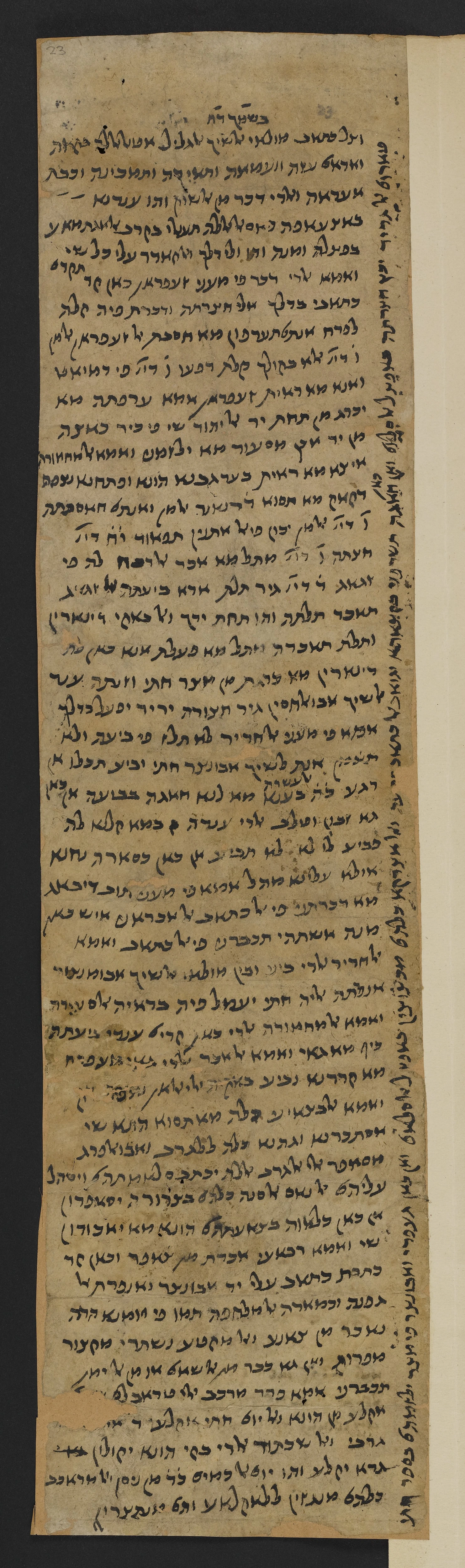 Image of item, e.g. a manuscript page