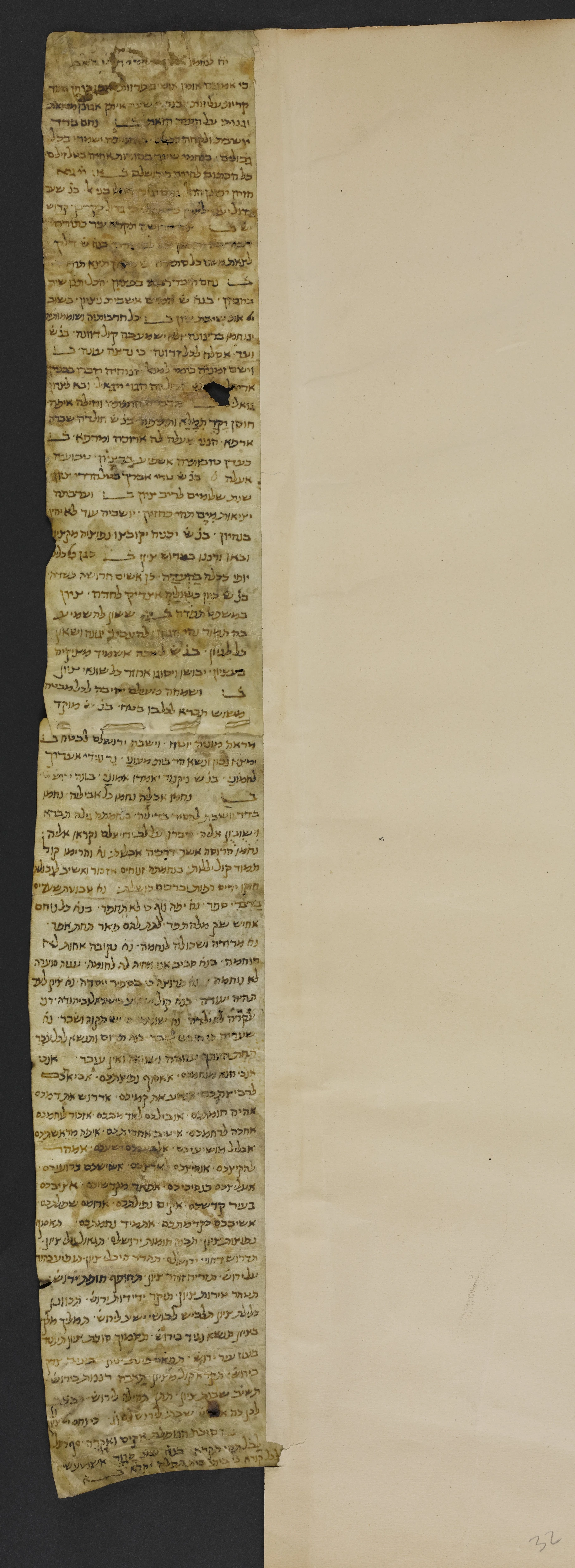 Image of item, e.g. a manuscript page