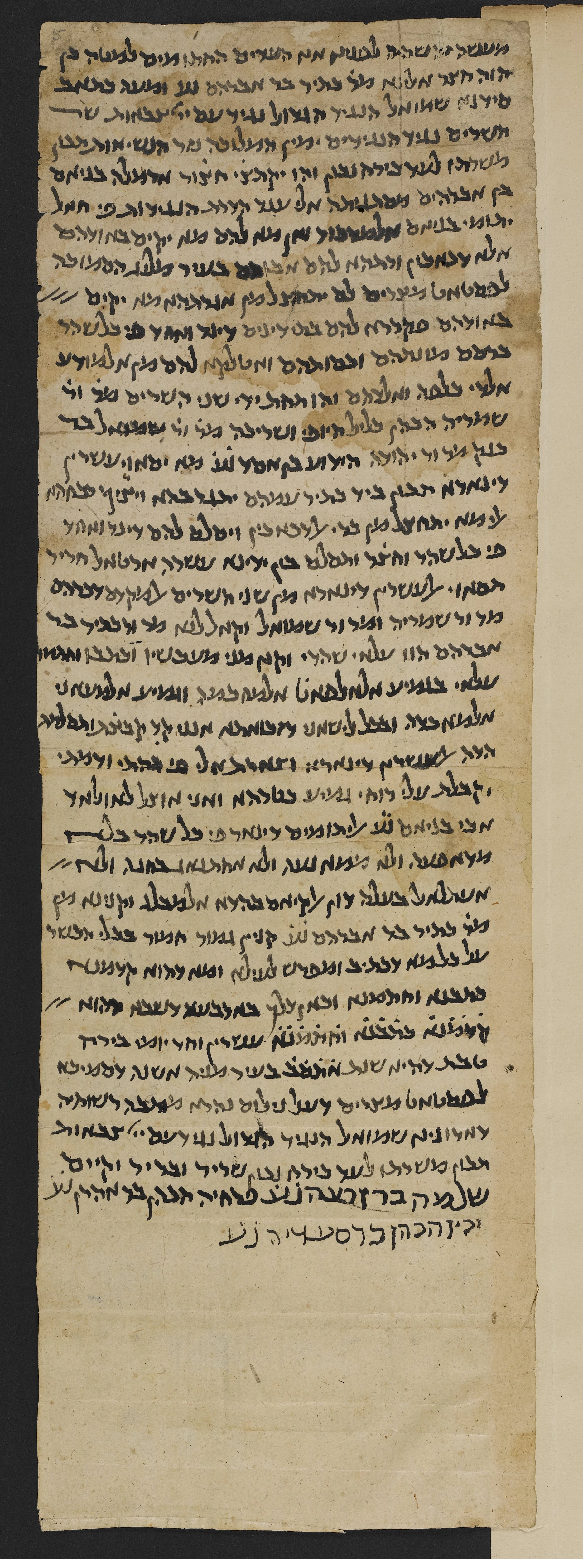 Image of item, e.g. a manuscript page