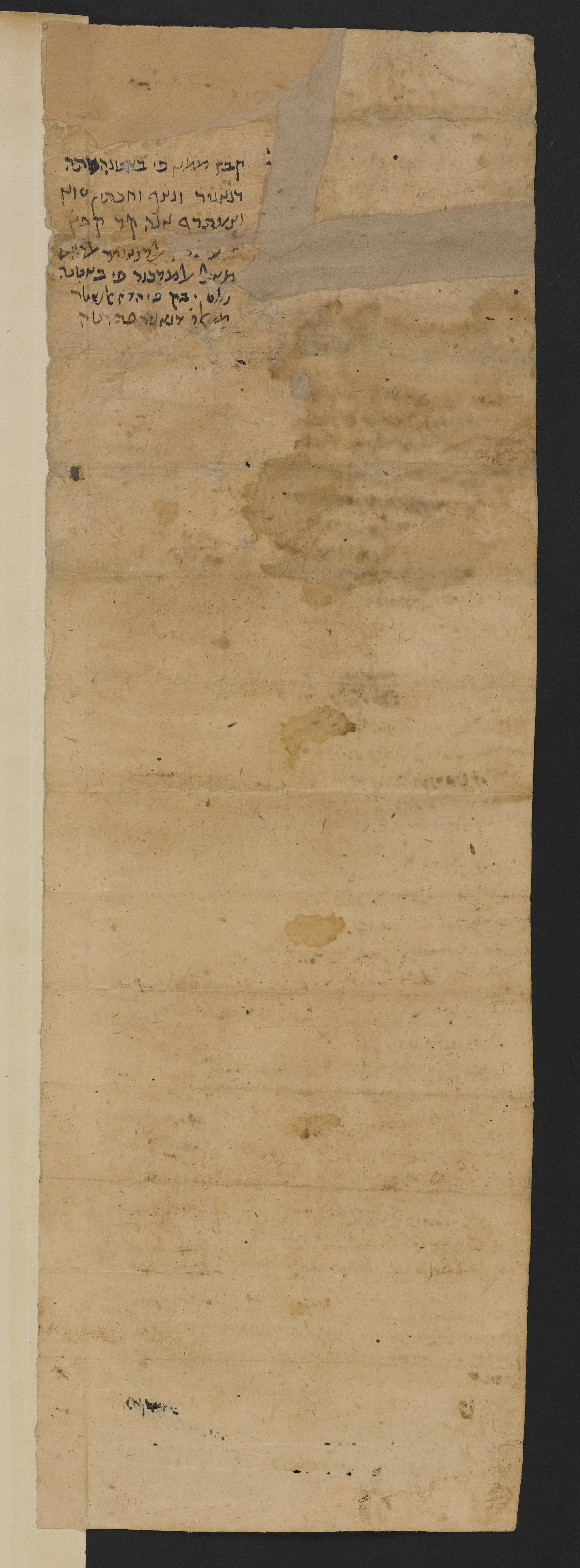 Image of item, e.g. a manuscript page