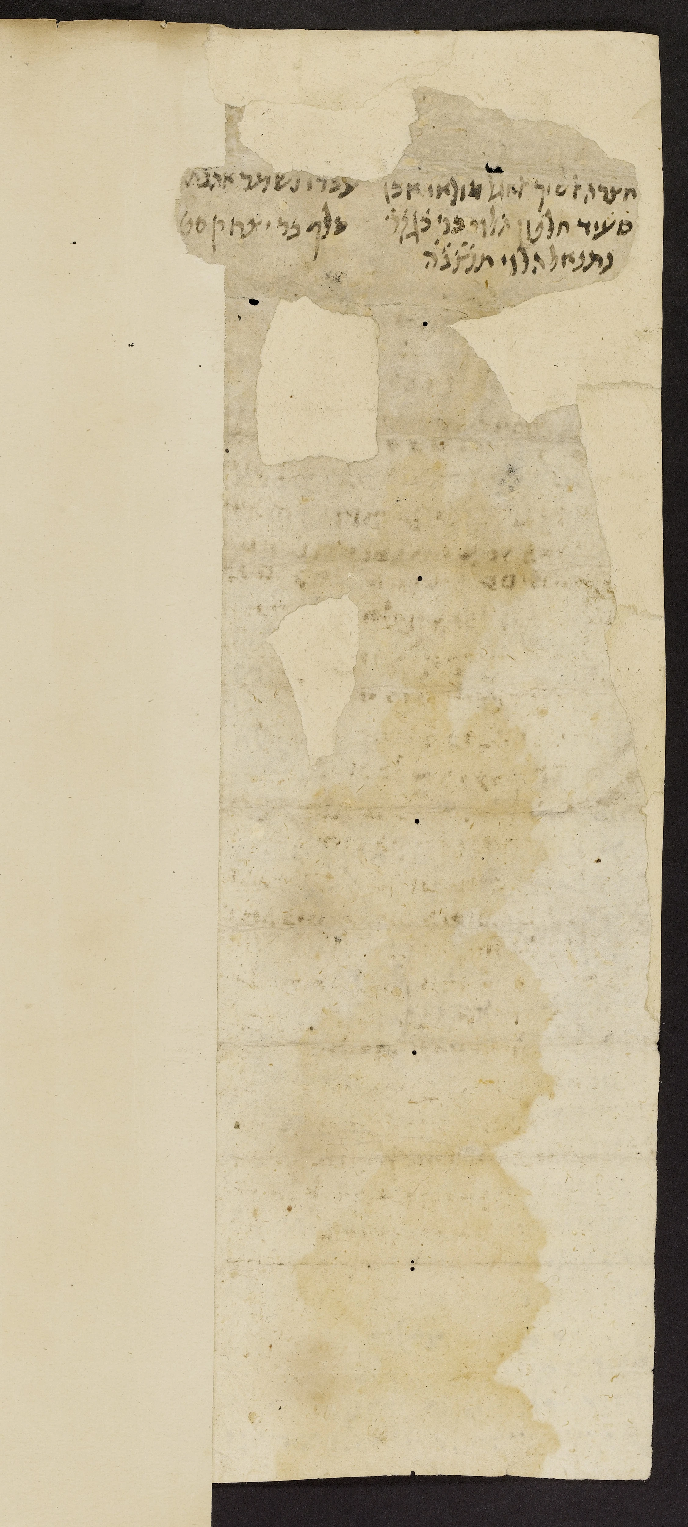 Image of item, e.g. a manuscript page