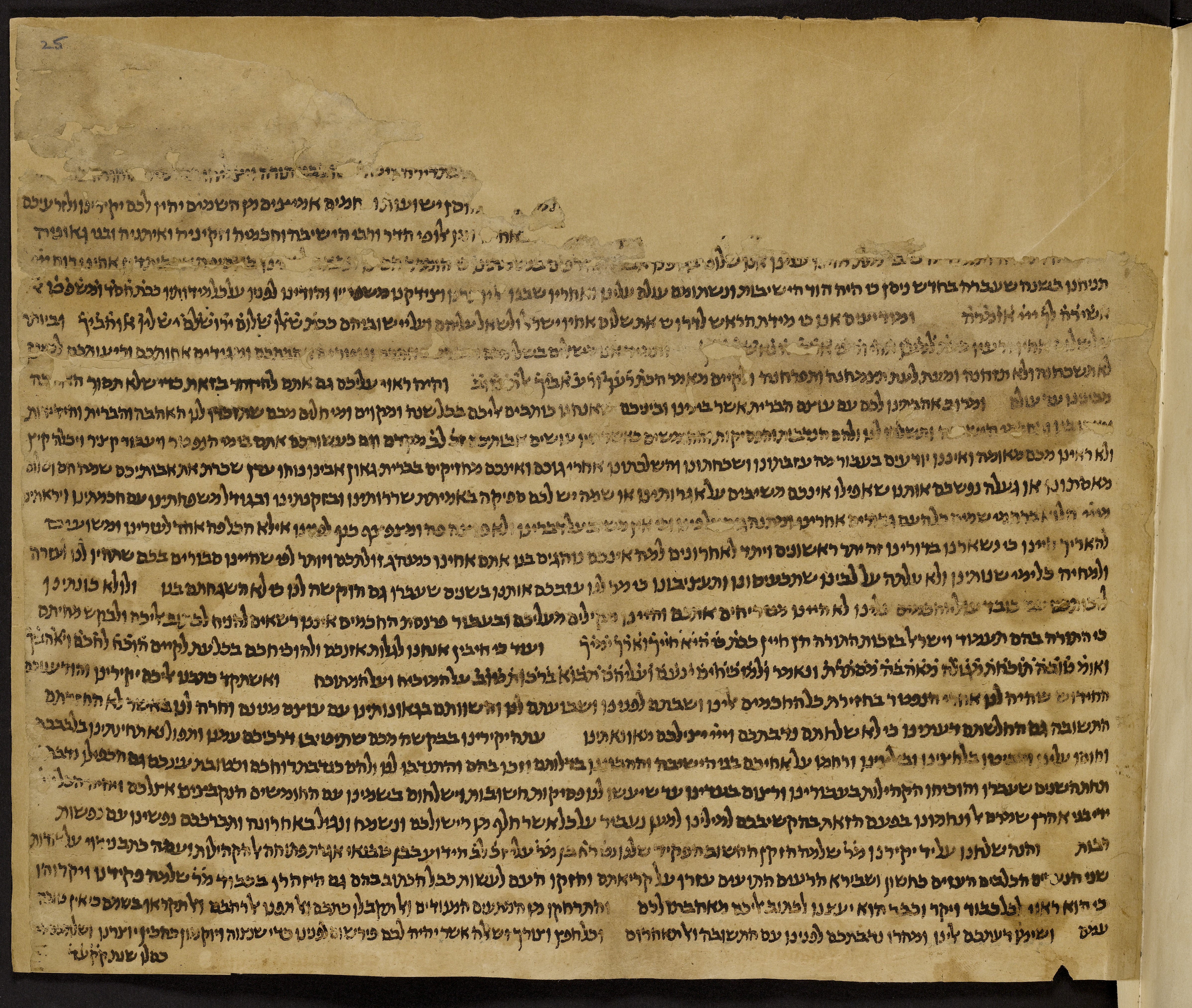 Image of item, e.g. a manuscript page