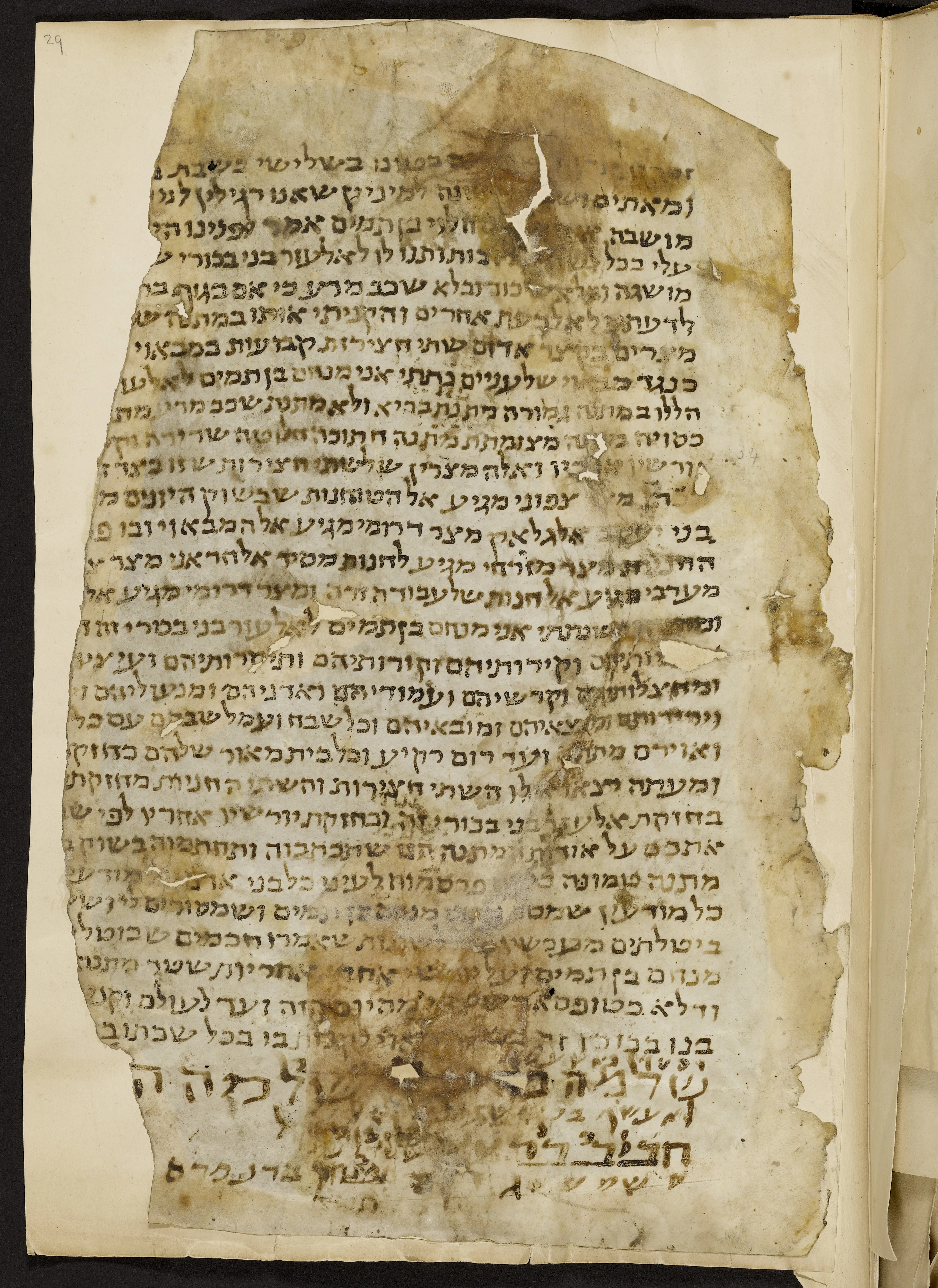 Image of item, e.g. a manuscript page
