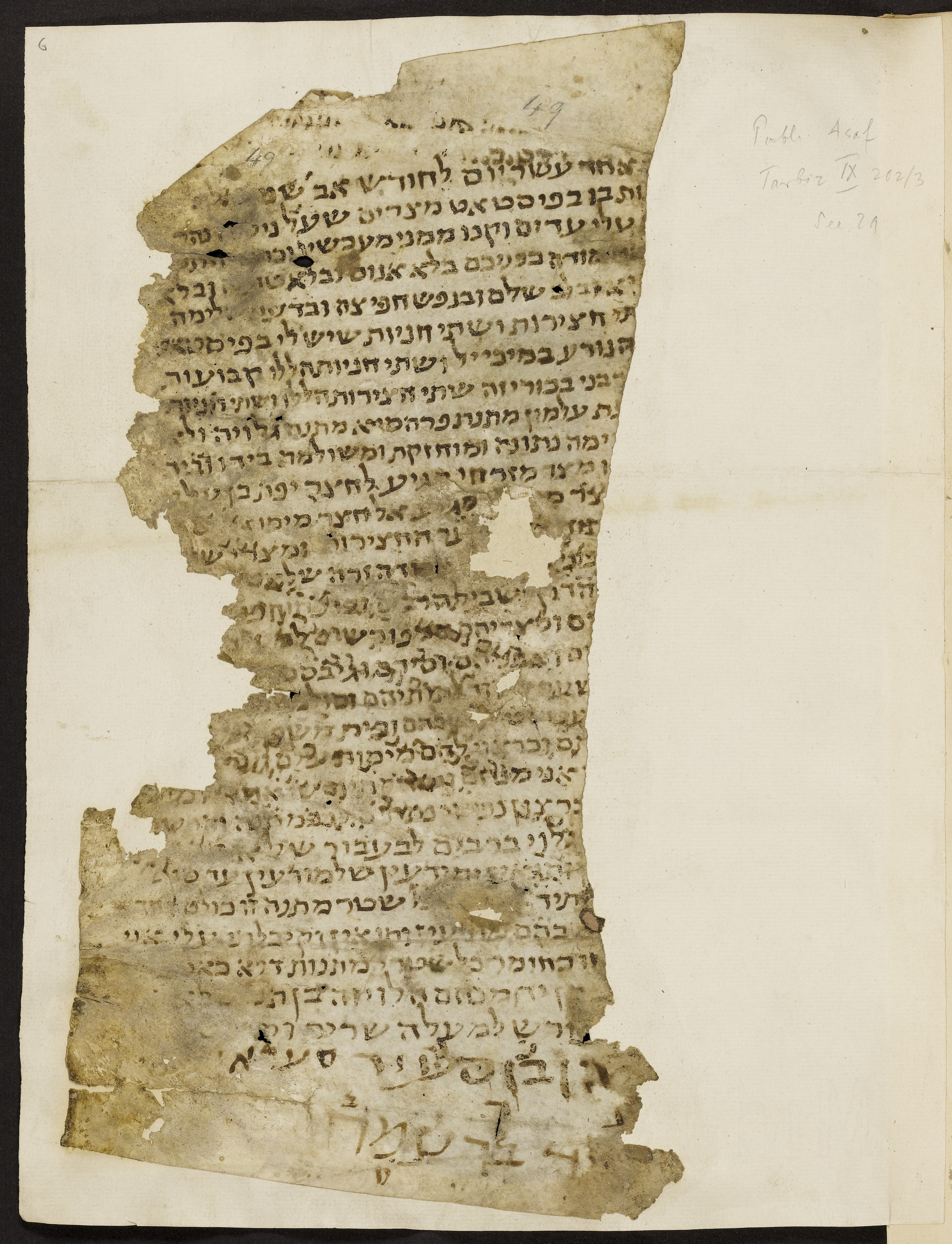 Image of item, e.g. a manuscript page